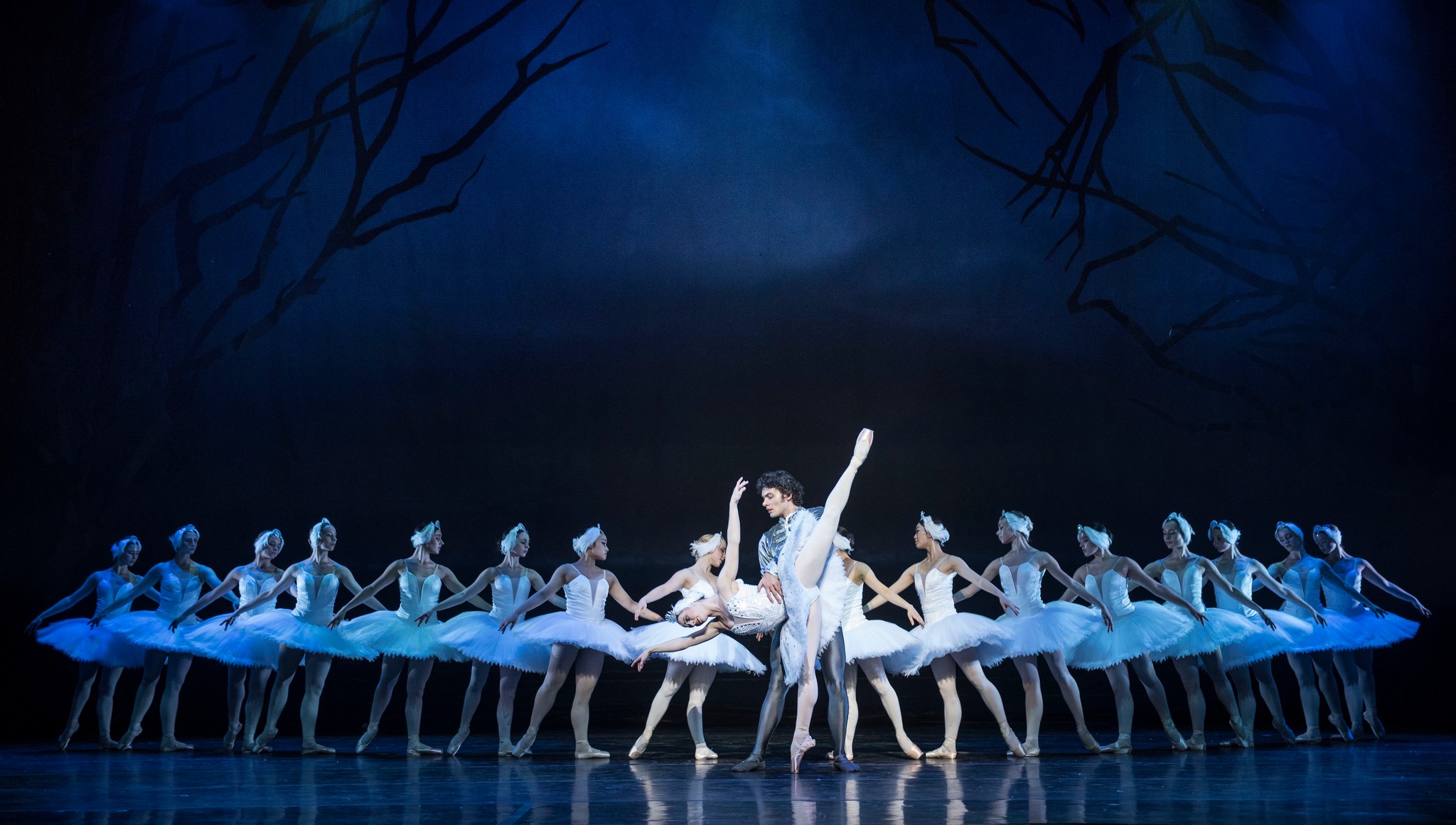 Cape Ballet Africa - Swan Lake