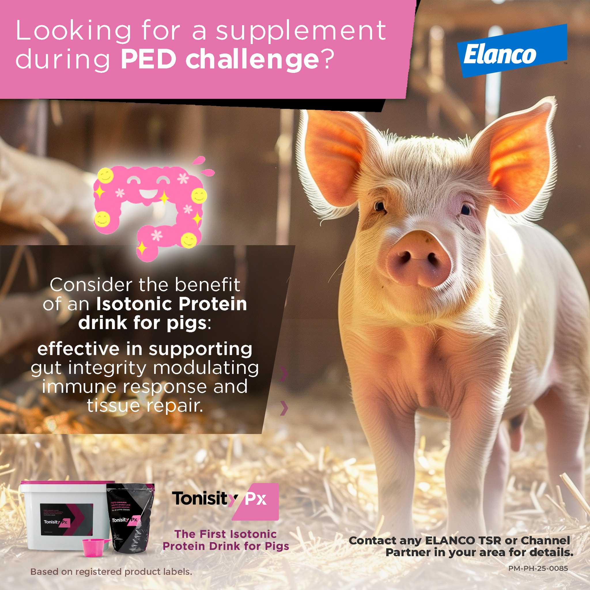Elanco Philippines -... - Elanco Philippines - Animal Health