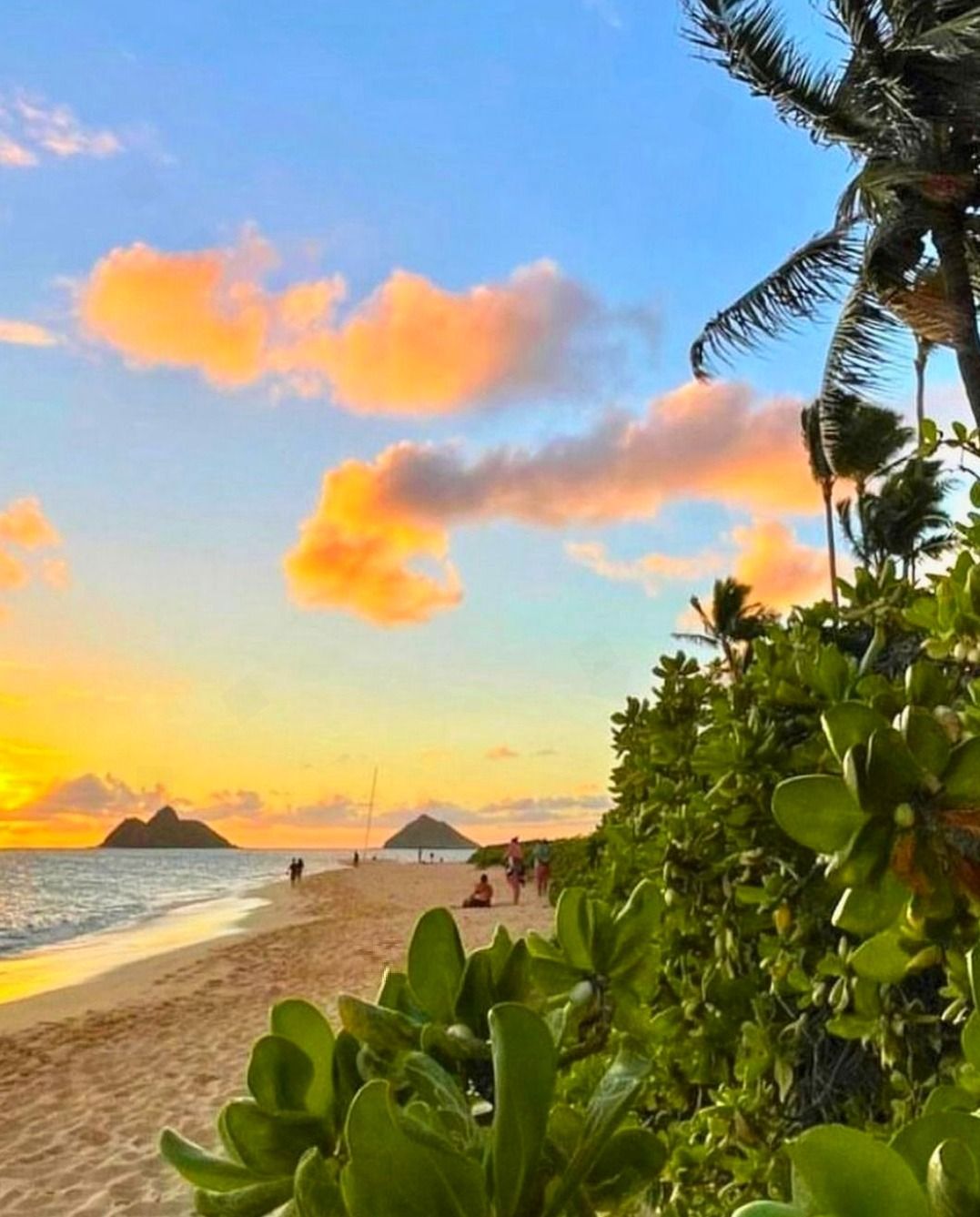 Aloha - Find your joy in every single day! 🏝️😍 ️ 📸 @jerekjs | Facebook