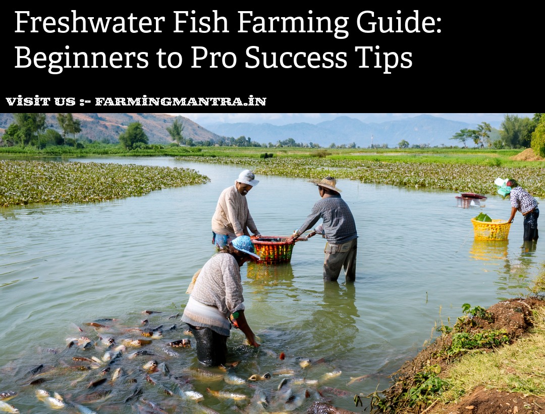 Farmingmantra - 🚜🐟 Freshwater Fish Farming: A Complete Guide for ...