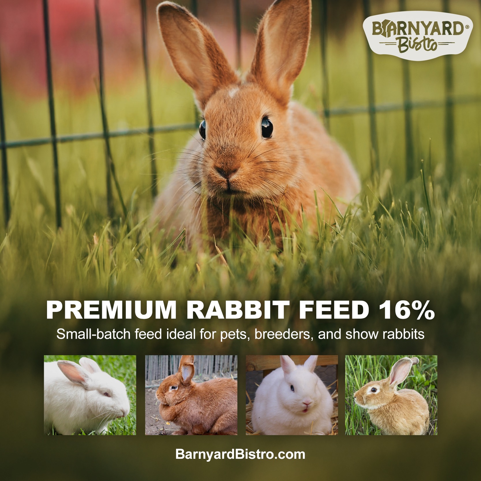 Barnyard Bistro | Spokane Valley WA