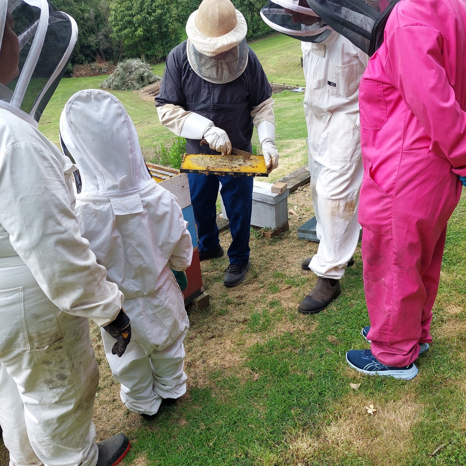 Quiet Waters Bees on Reels