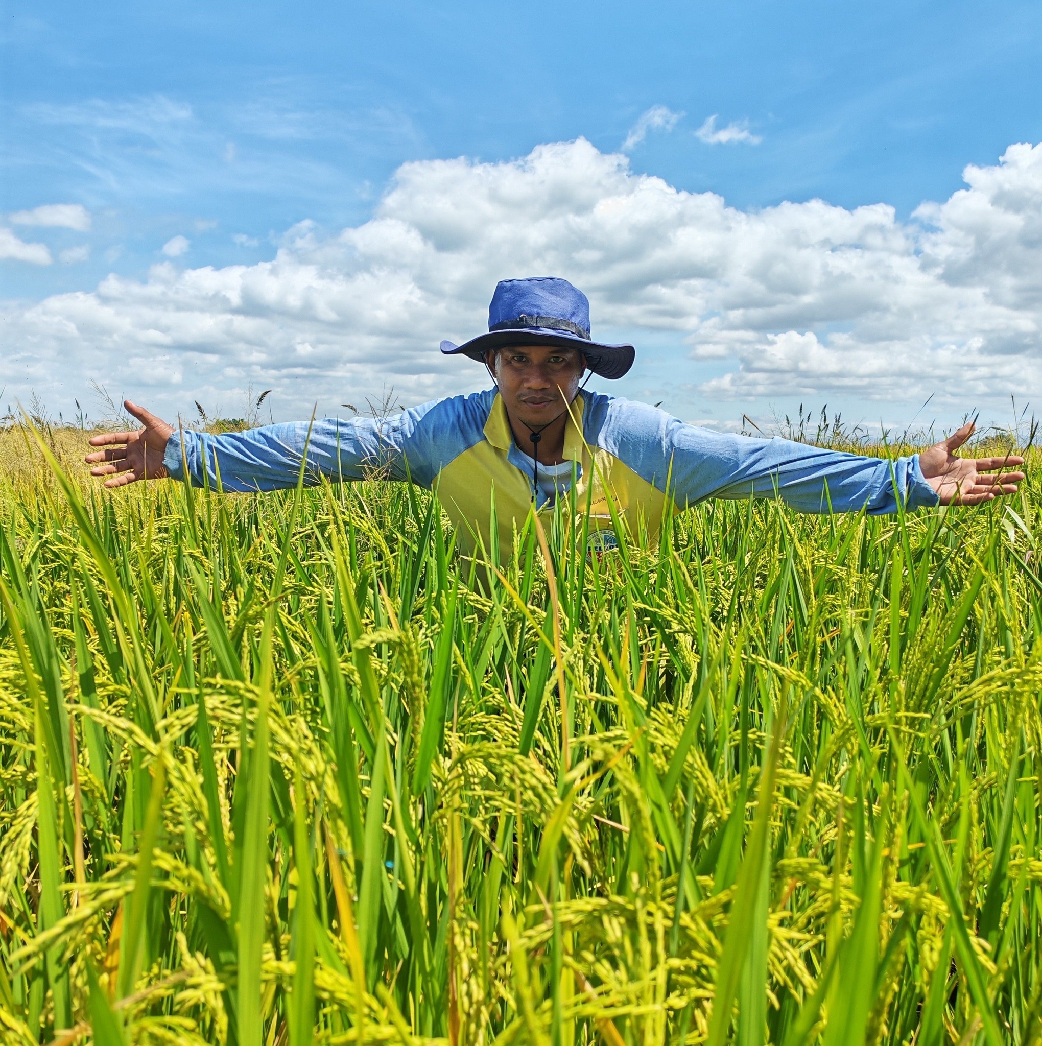 Araro. #fypreelsシ゚viralシ #buhaymagsasaka #farmlifeisthebestlife # ...