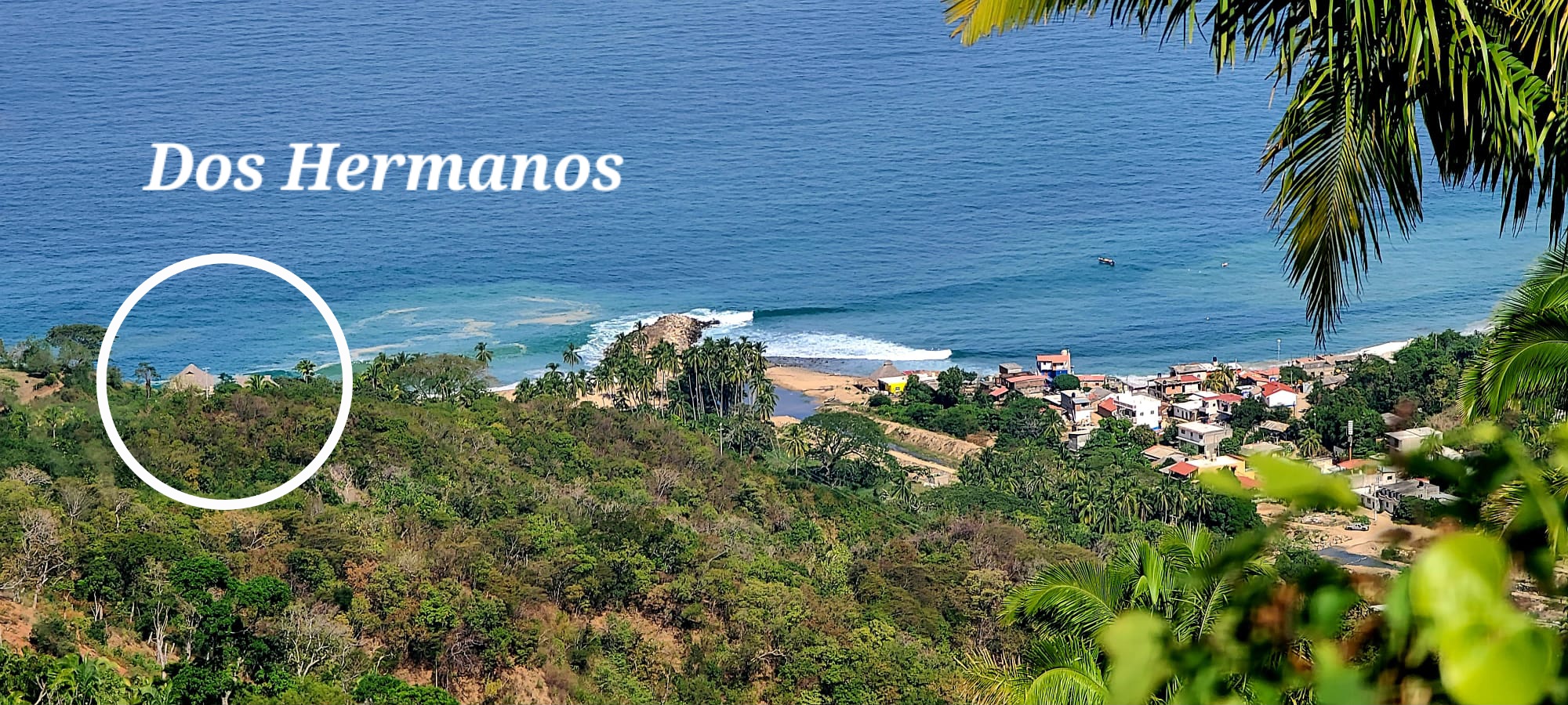 Dos Hermanos Chimo-Amigos