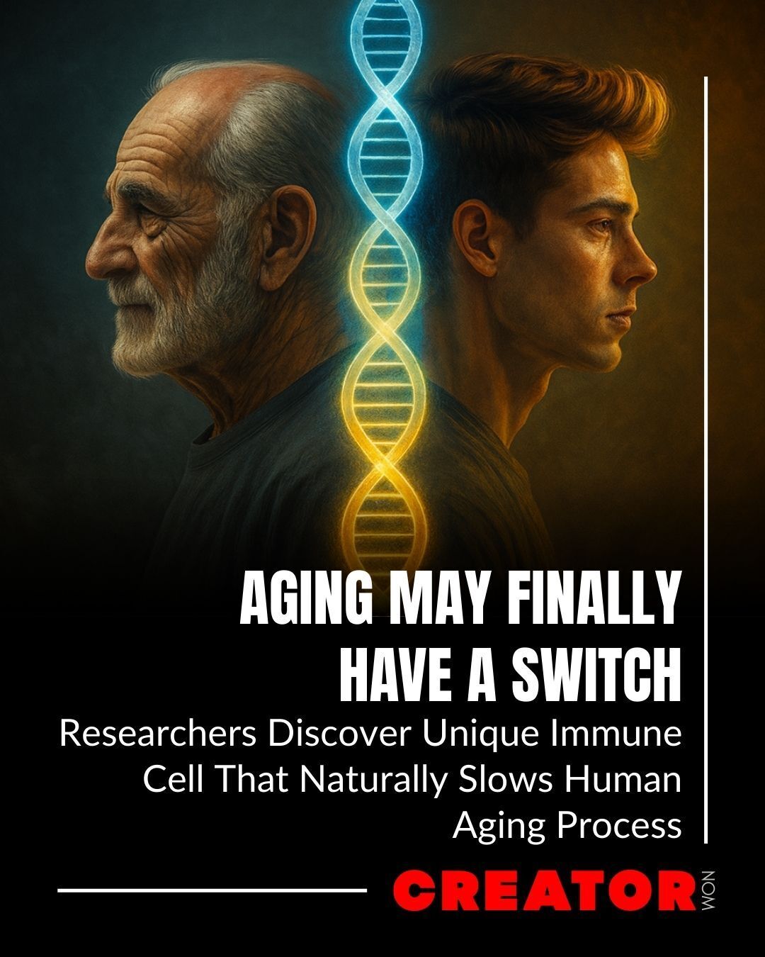 Creator - A stunning discovery may change how we age forever ...