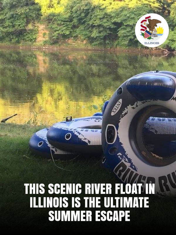 Illinois - This Scenic River Float In Illinois Is The Ultimate Summer ...