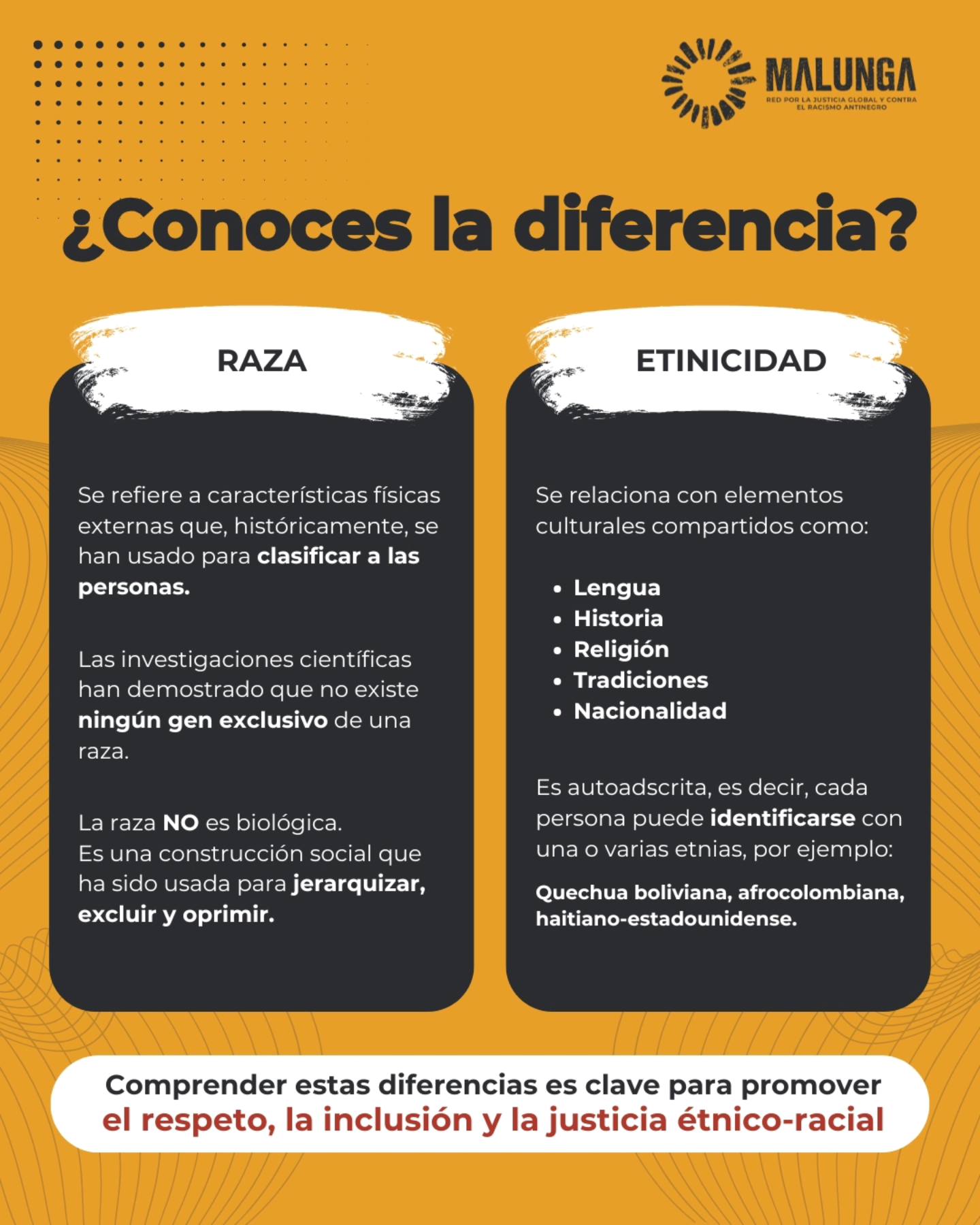 Red Malunga - ¿“Raza” o “etnicidad”? No son lo mismo, y... | Facebook