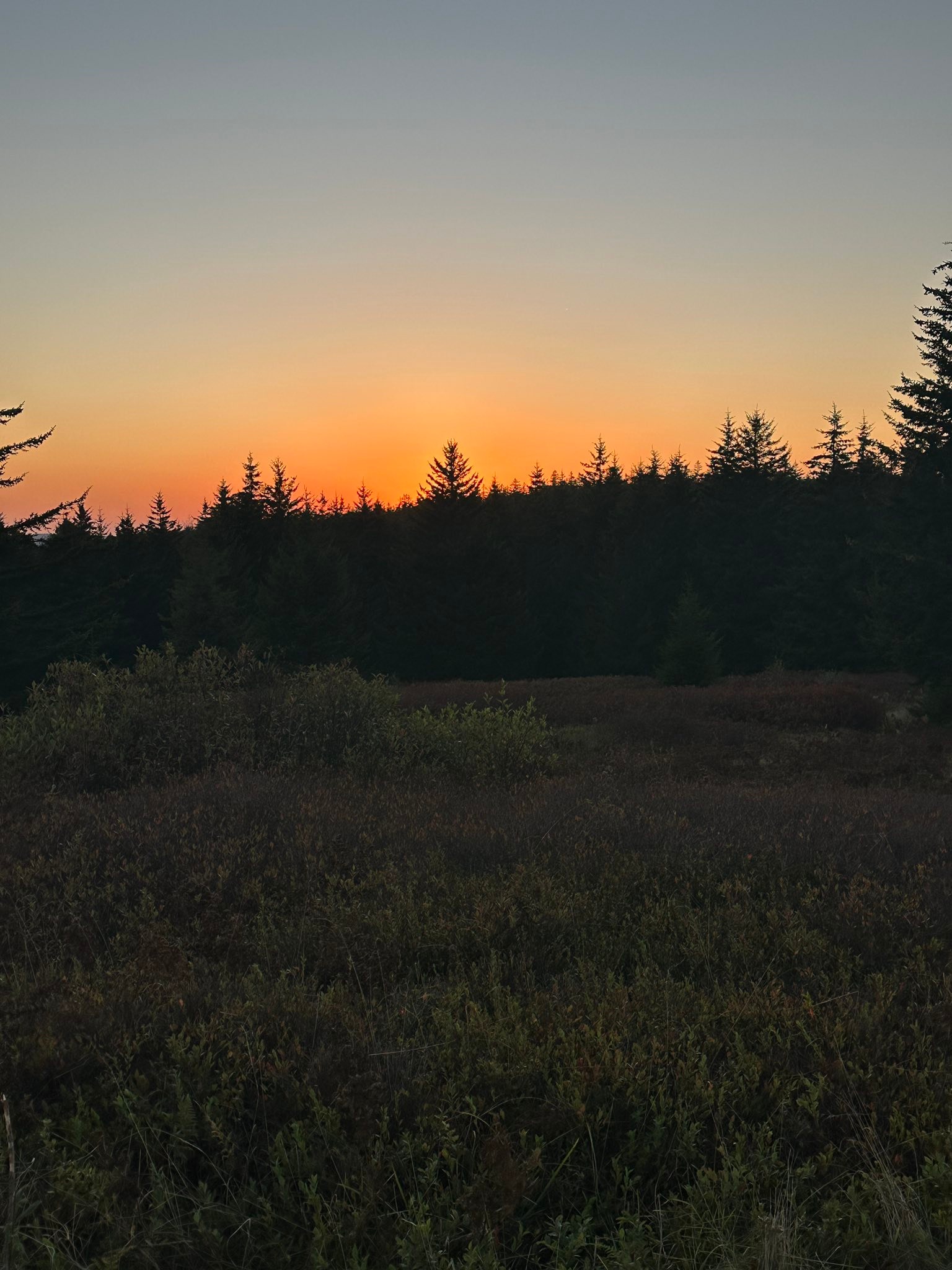 Dolly Sods | Camped on trail 522 mid October | Facebook