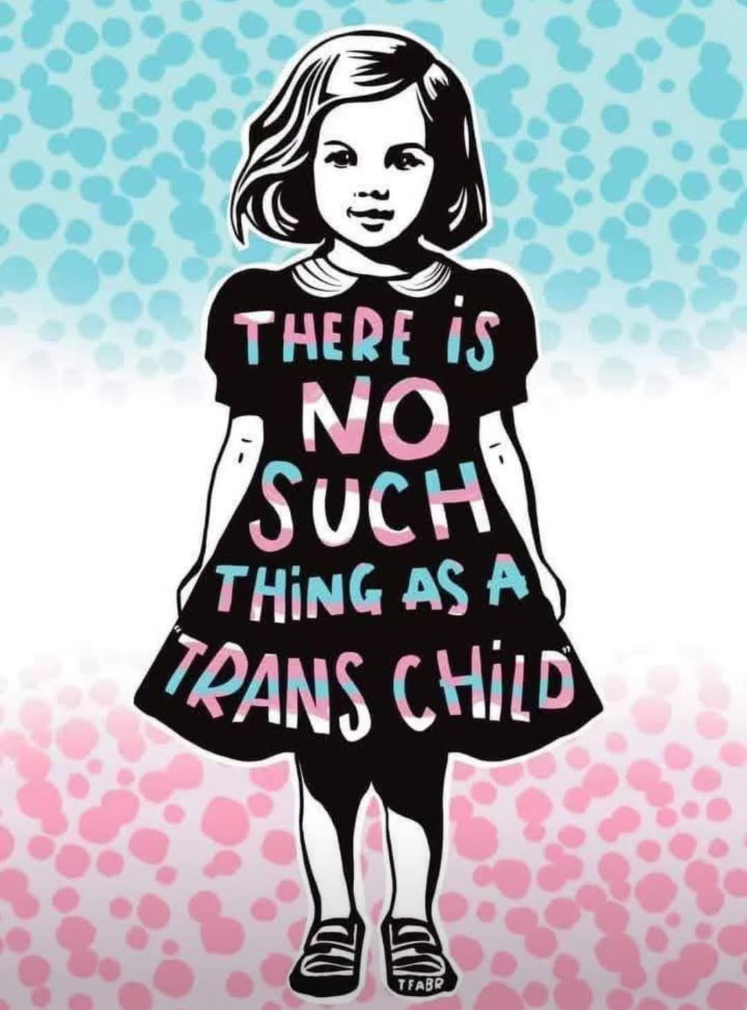 Parenting and Transgender Children 
