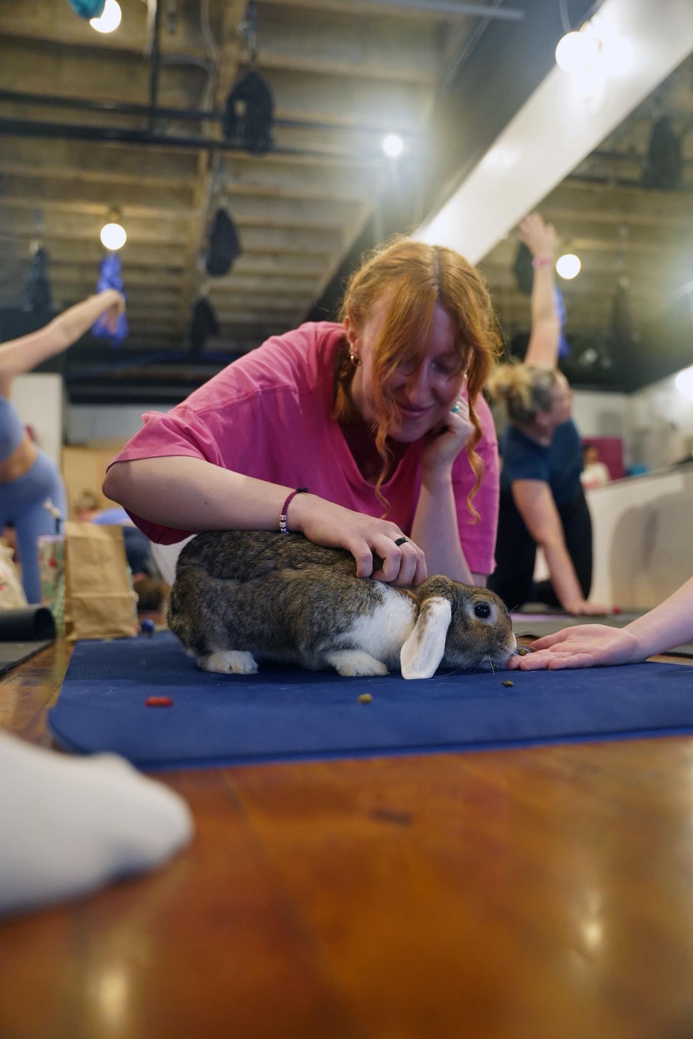 Happy Rabbit Co. | Nashville TN