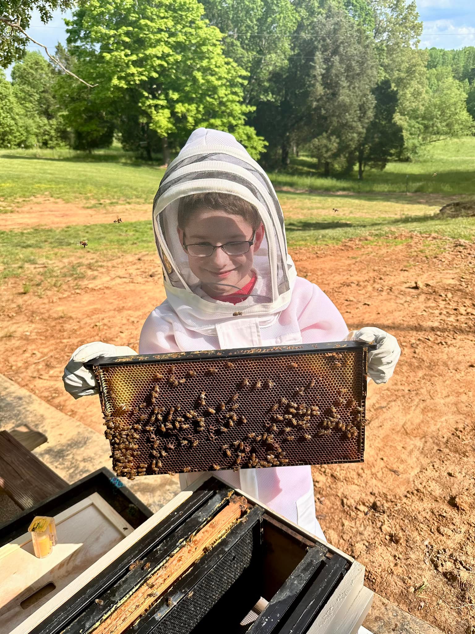 🐝 Hive Update! 🐝 Keeping our... - Miller Ridge Bee Company