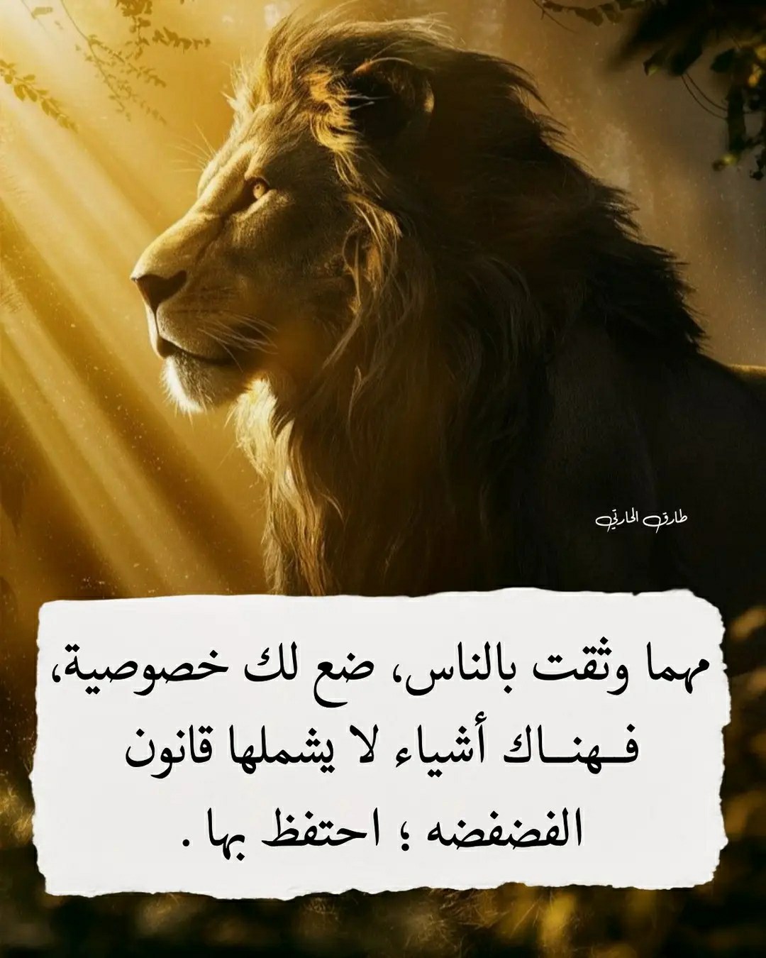 علم النفس وتطوير الذات | نزار قباني | Facebook