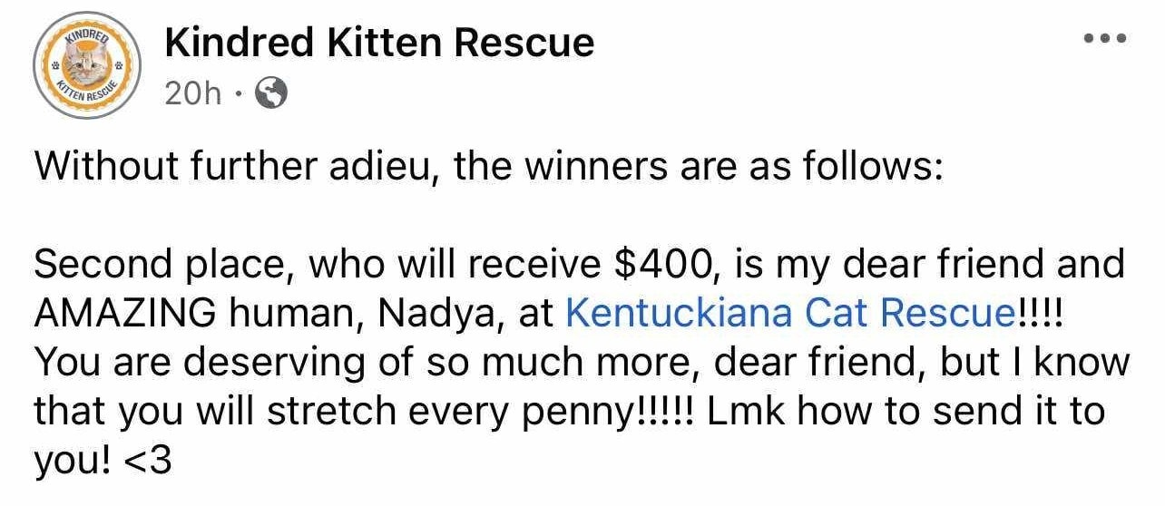 Kindred Kitten Rescue is... - Kindred Kitten Rescue is a SCAM