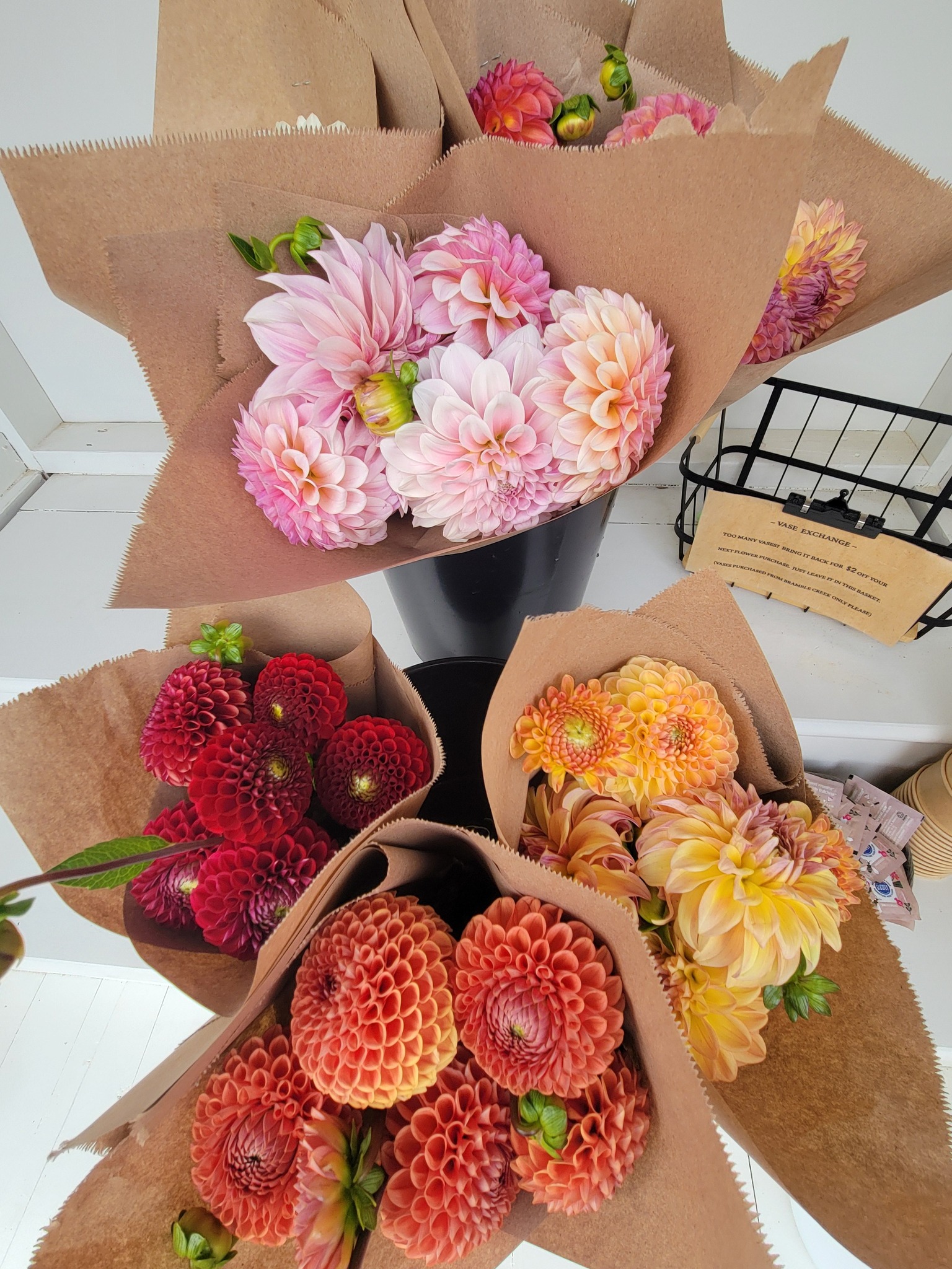 Bramble Creek Flower Farm