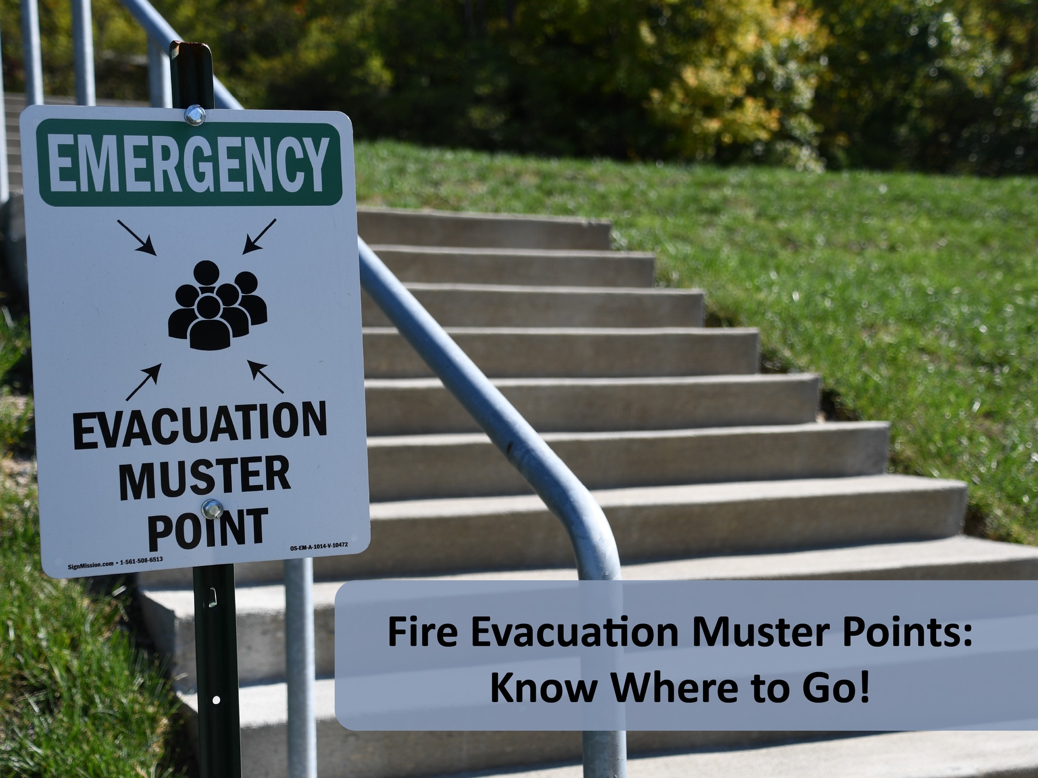 Silco - Fire Evacuation Muster Points: Know Where to Go! In an ...
