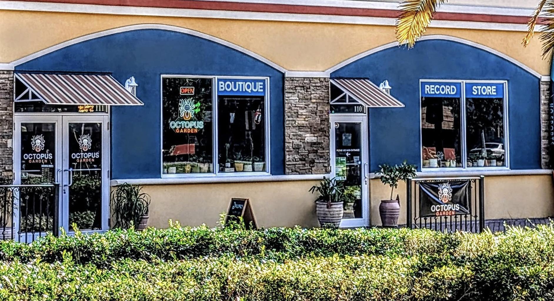 Octopus Garden | New Port Richey FL