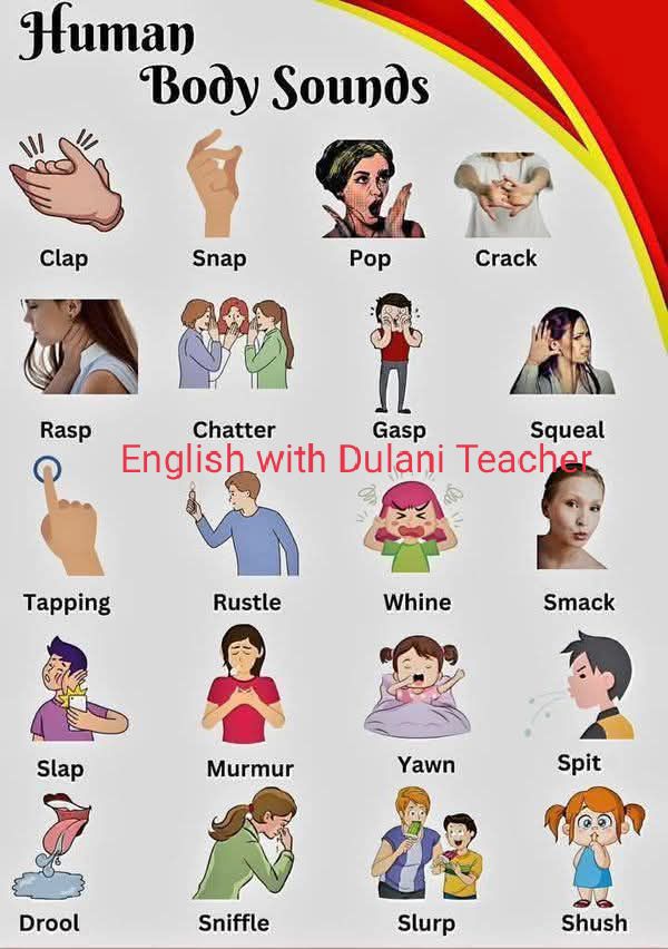 English - 🎧 Human Body Sounds – Learn Everyday English Vocabulary! 🗣️ ...