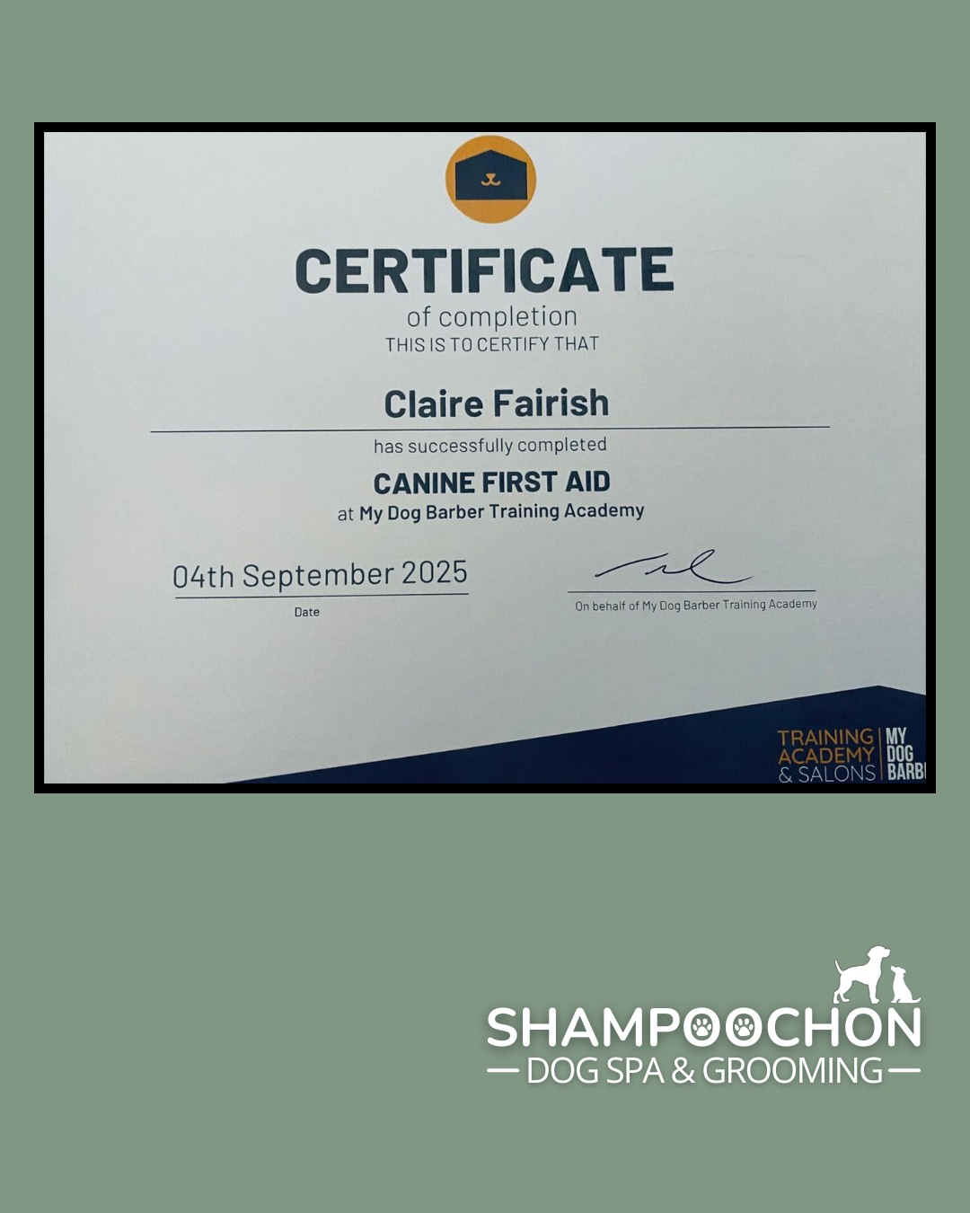 Shampoochon - Completed my Canine First Aid (iPET Level... | Facebook