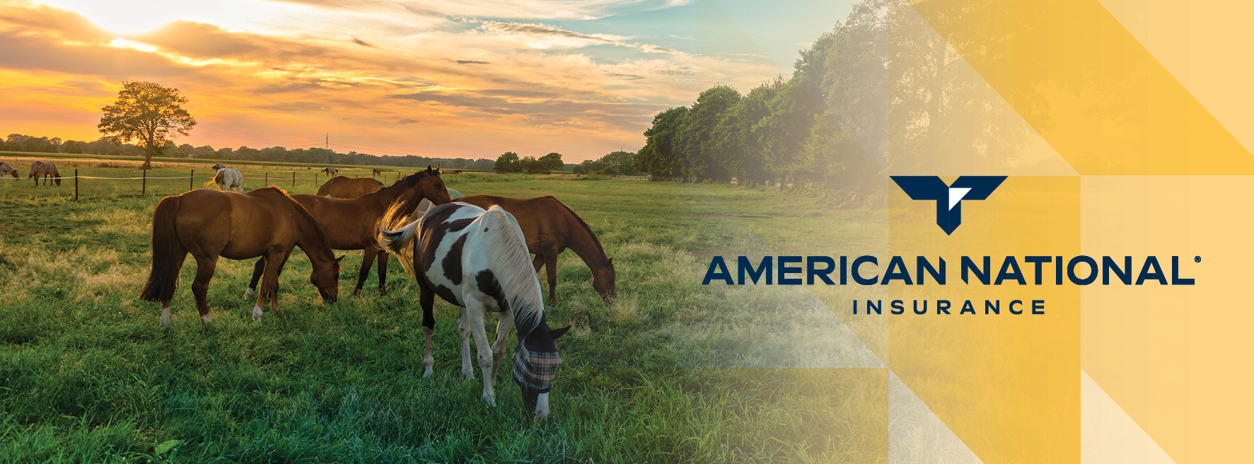Allbee Insurance Advisors | West Des Moines IA