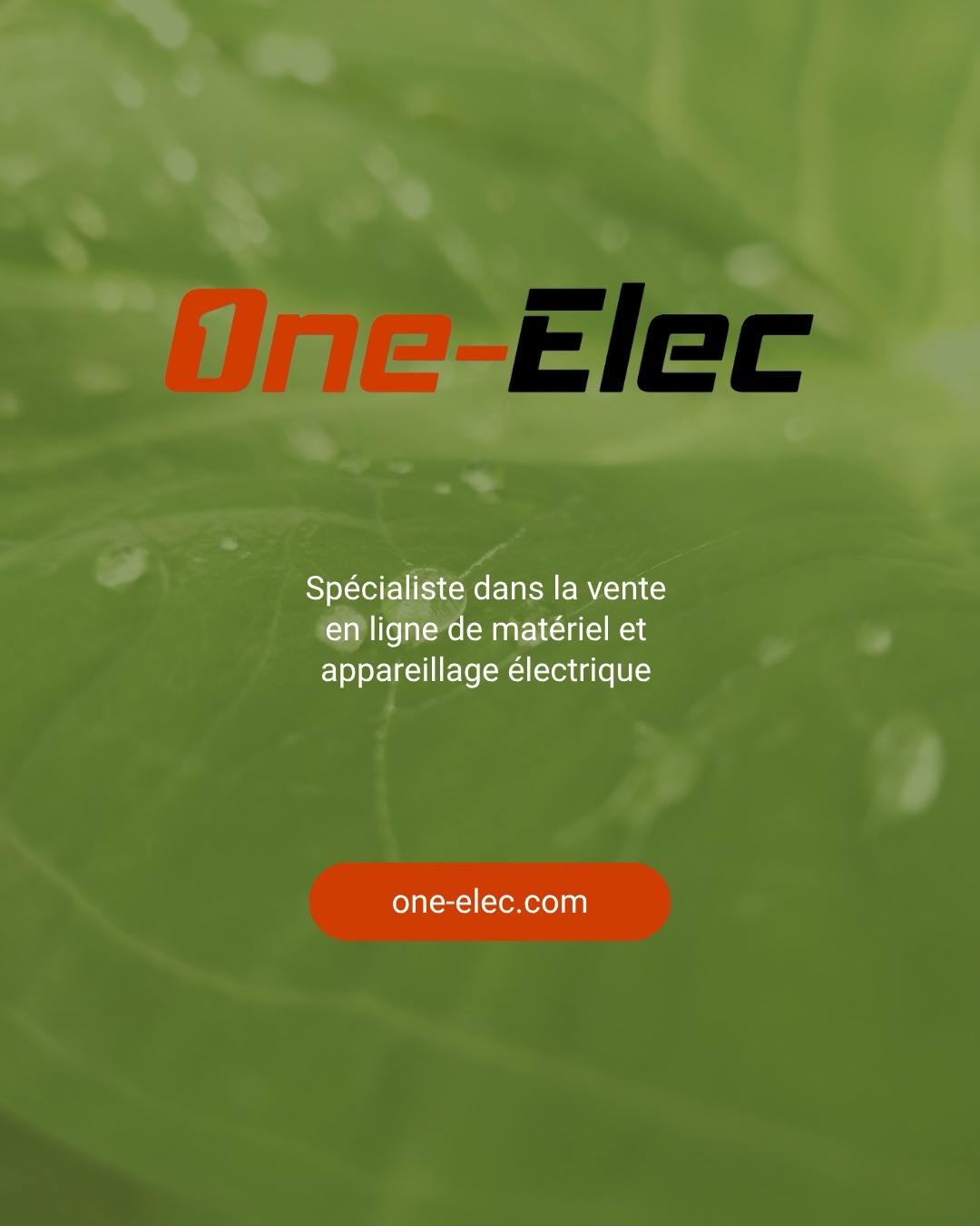 Lot Appareils Électriques 2025 - Palette Marque - Accessoires PC, Multimédia, Électronique - Produit A DS5