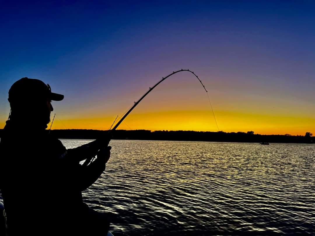 Hogs Back Rods - Hogs Back Rods added a new photo.