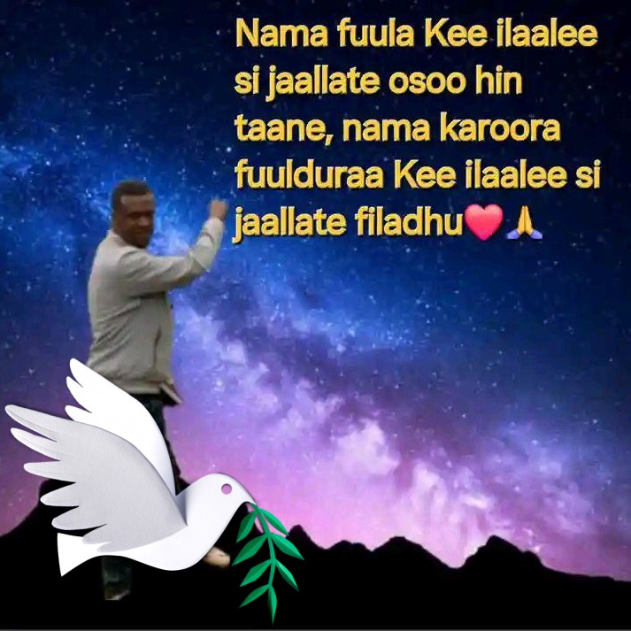 Jamila Burii