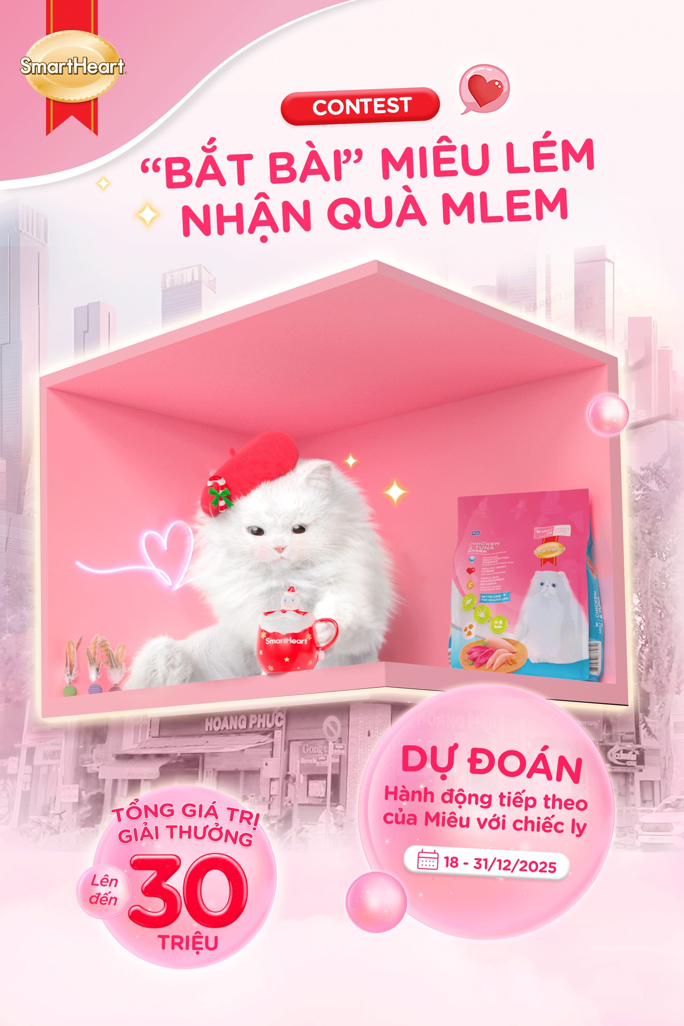 CONTEST: “BẮT BÀI” MIÊU LÉM -... - SmartHeart Cat Việt Nam | Facebook