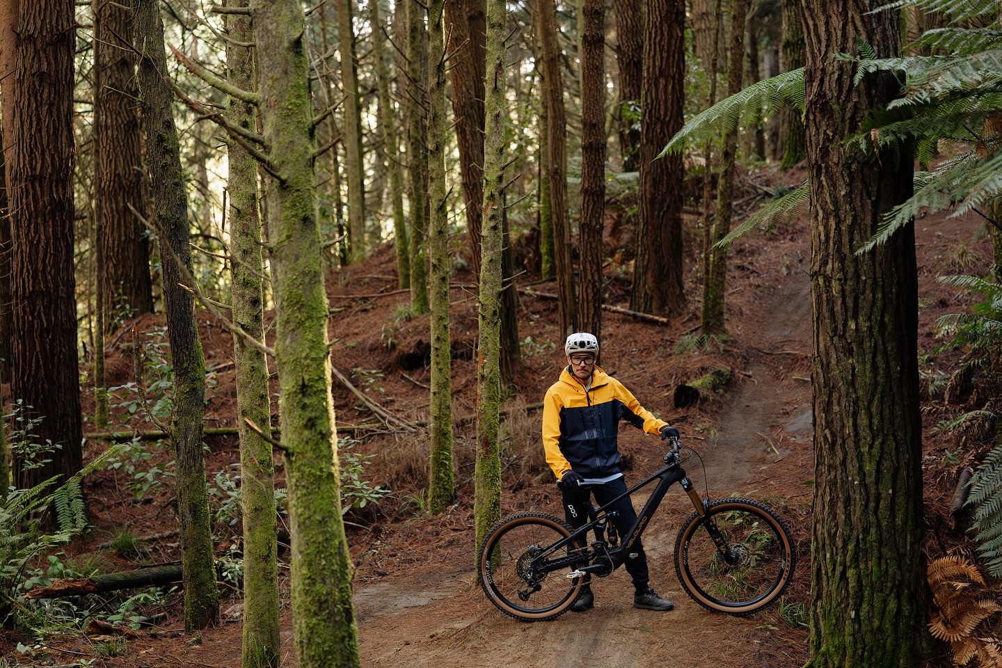 Velduro Bikes