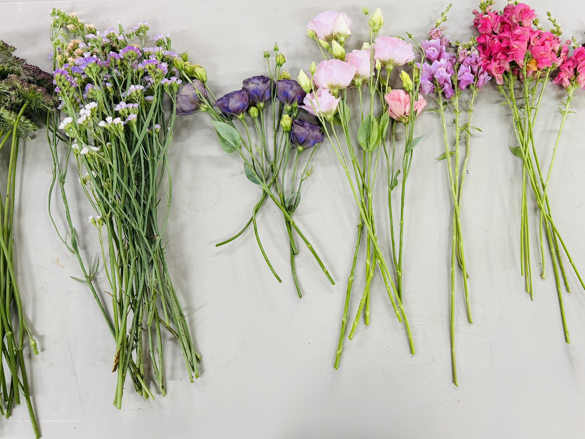 Blakely Blooms | La Monte MO