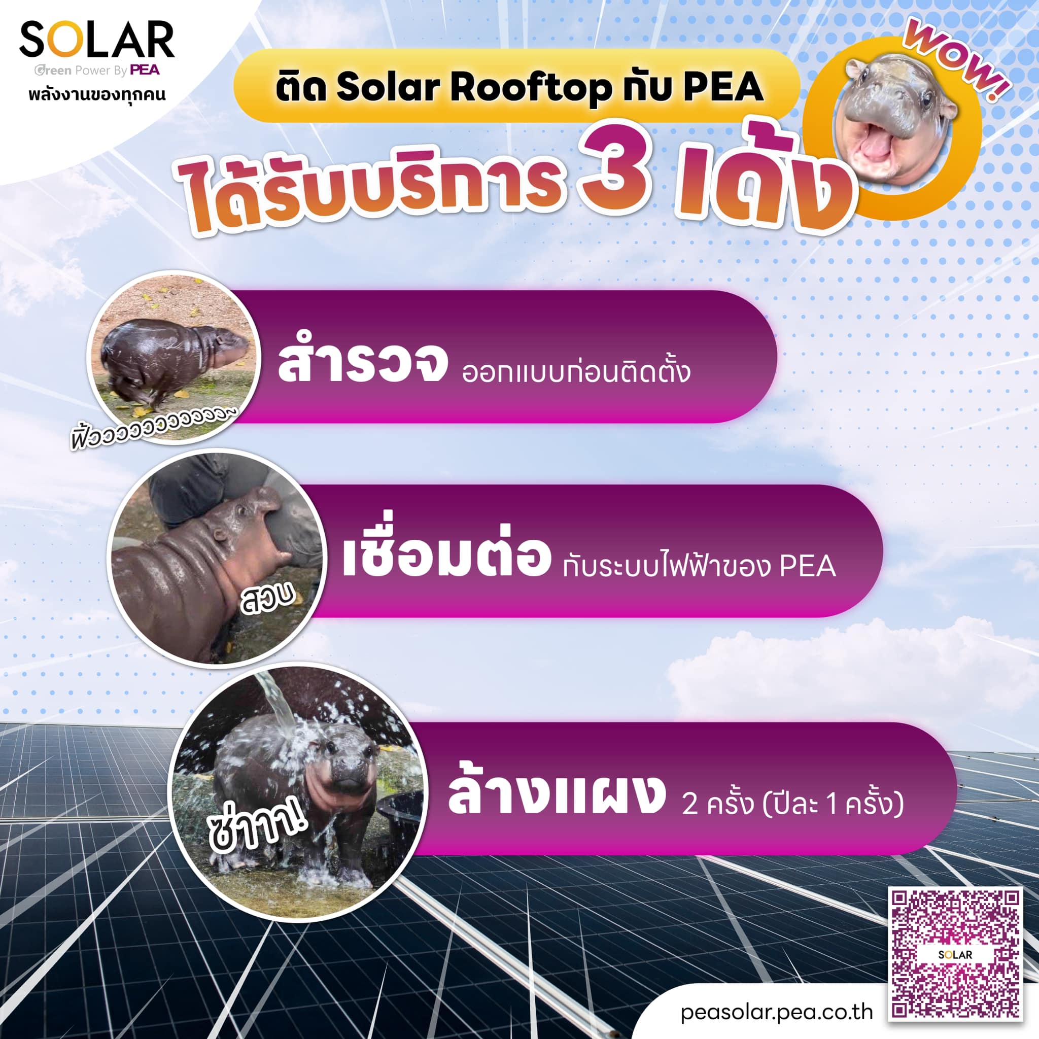 PEA - ติด Solar Rooftop กับ PEA ได้รับบริการ 3 เด้งแบบฟิน ๆ มีอะไรบ้าง ...