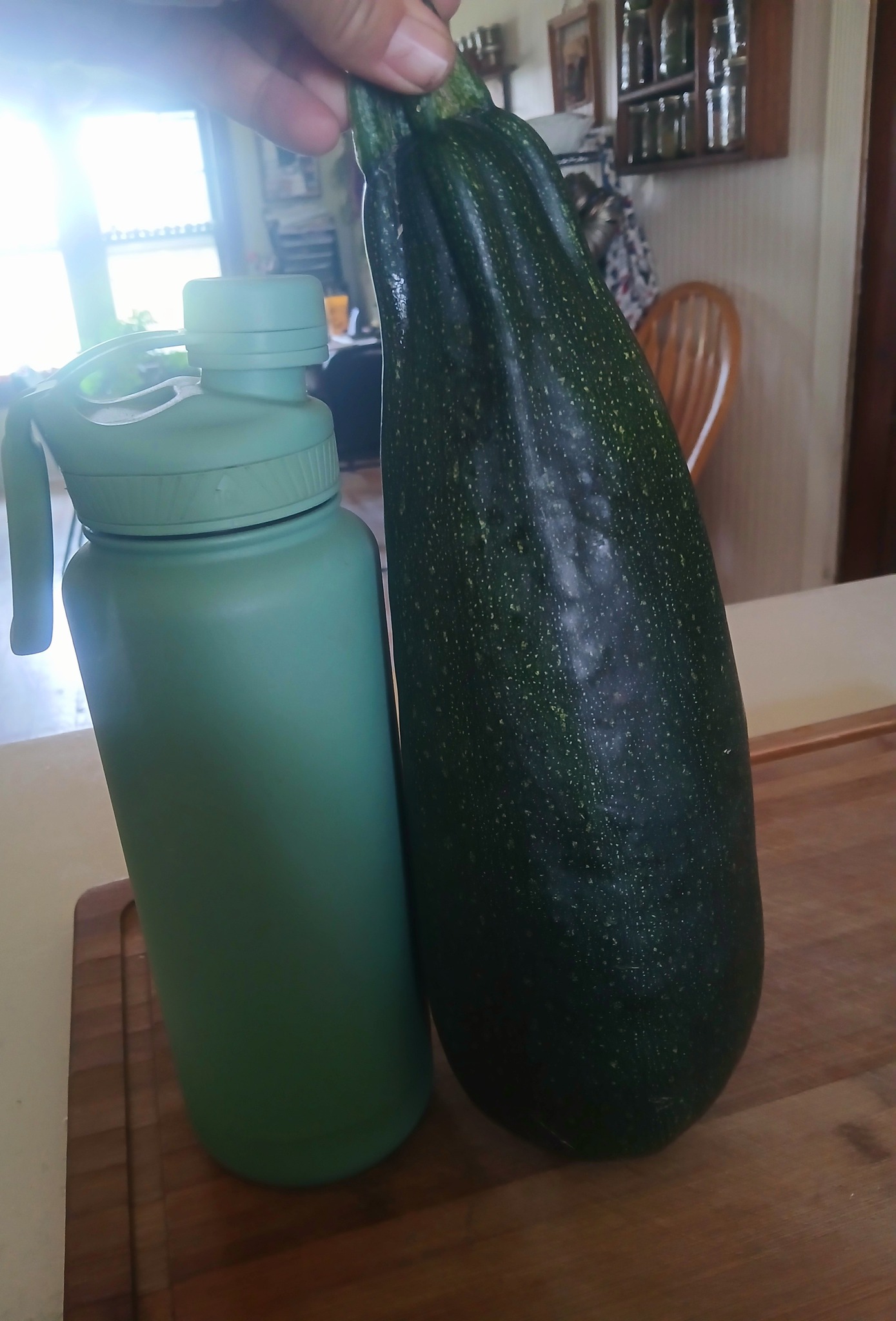 Sarah Whitty grew a 170-pound zucchini — and shattered the North