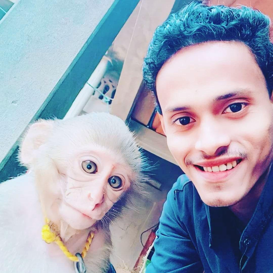 Monkey funny #monkey #funnyvideo #FacebookPage #monkeylove #monke | Md ...