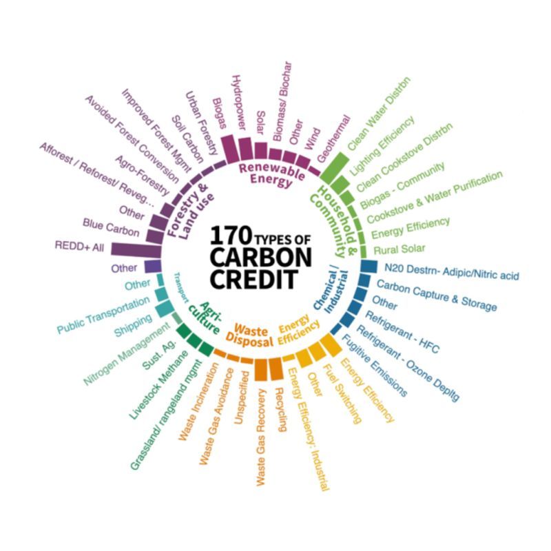 Pentagon - 🌿 Carbon Credit: Turning Pollution into Possibility 🌍💰 Did ...