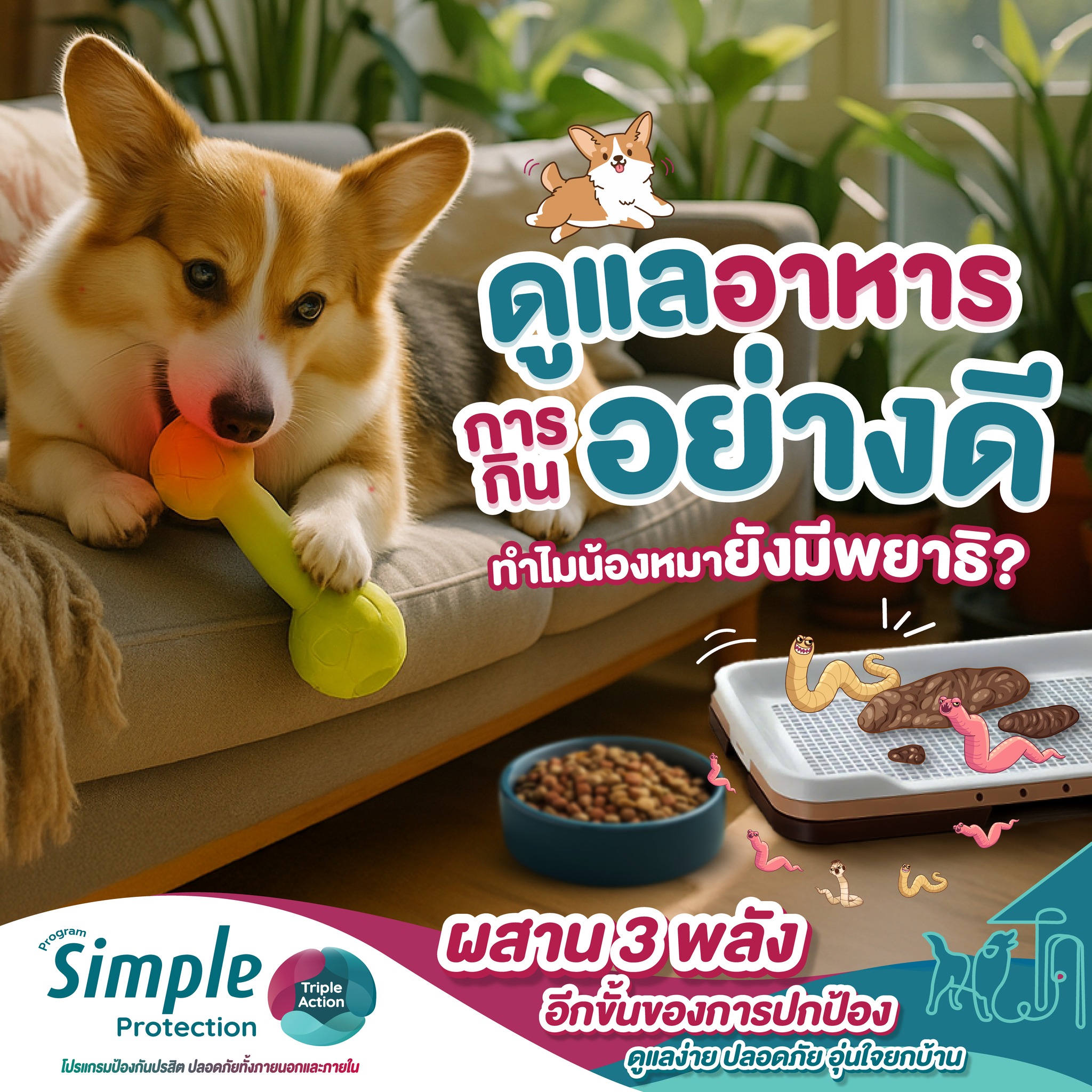 👨🏻‍⚕️ ตอบคำถามยอดฮิต... - Simple Protection for Dog | Facebook
