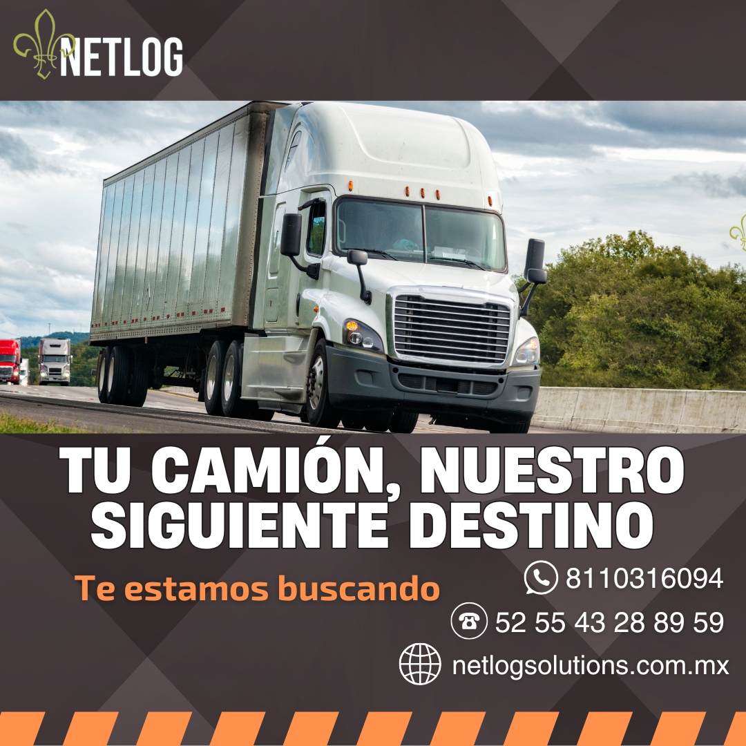 Netlog Solutions | Apodaca Centro