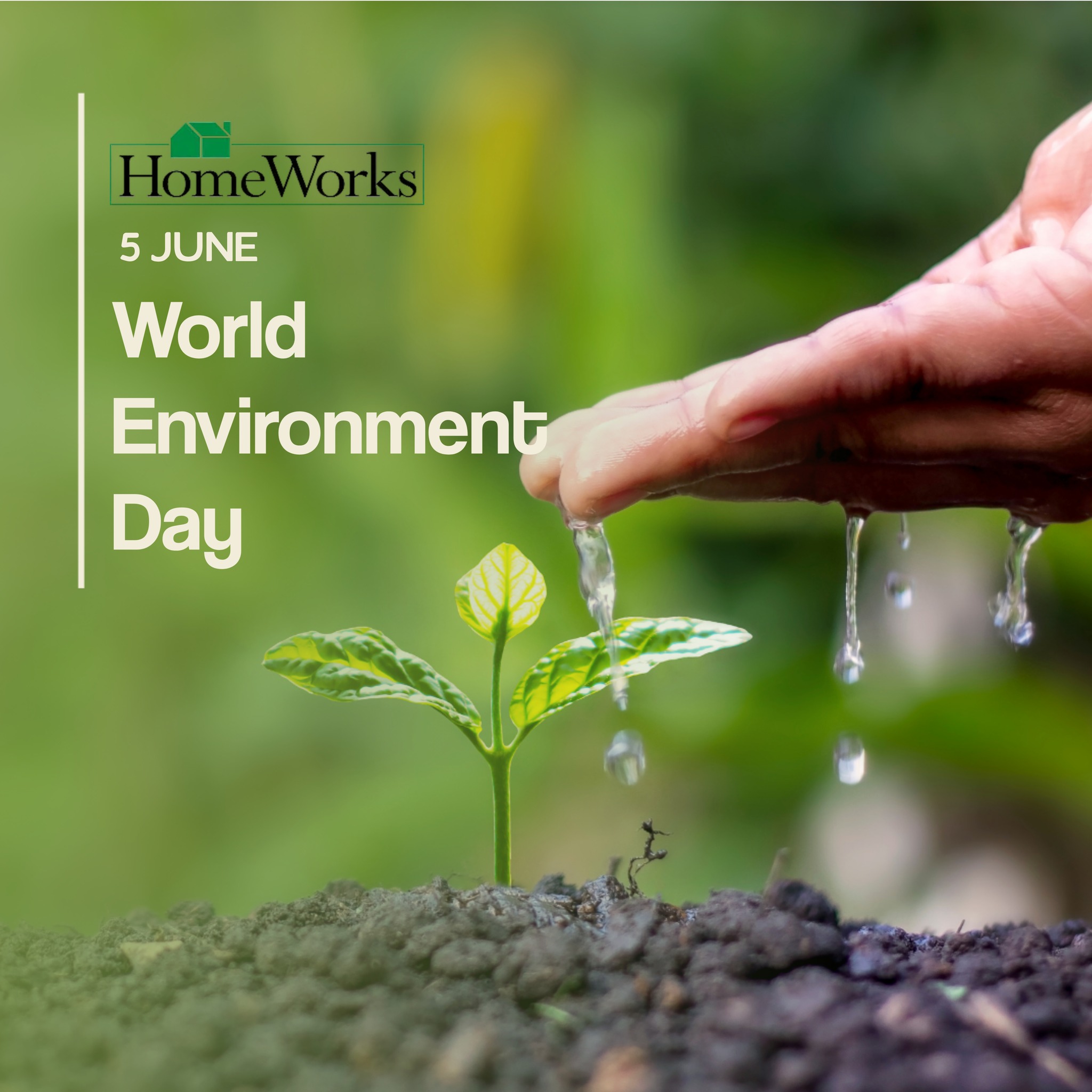 🌍🌿 Happy World Environment... - HomeWorks Property Management