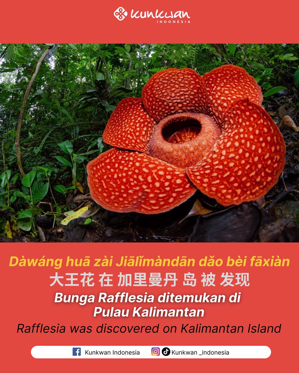 Kunkwan Indonesia | Jakarta
