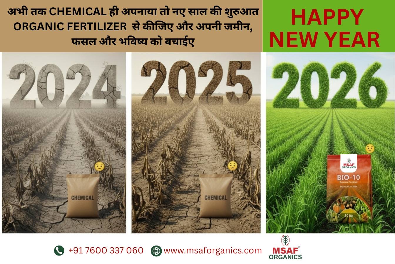 Msaf Bio Organics