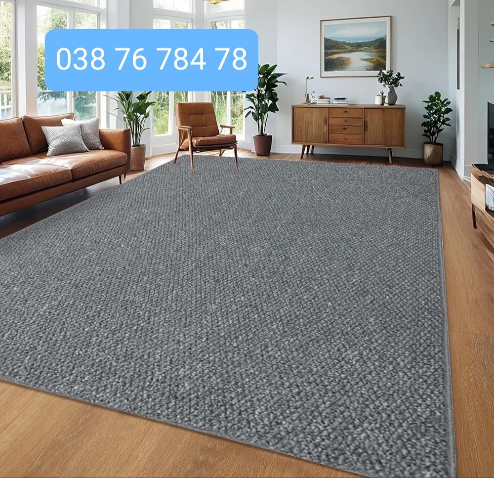 Tapis de salon design moderne à poils ras, facile d'entretien, tapis