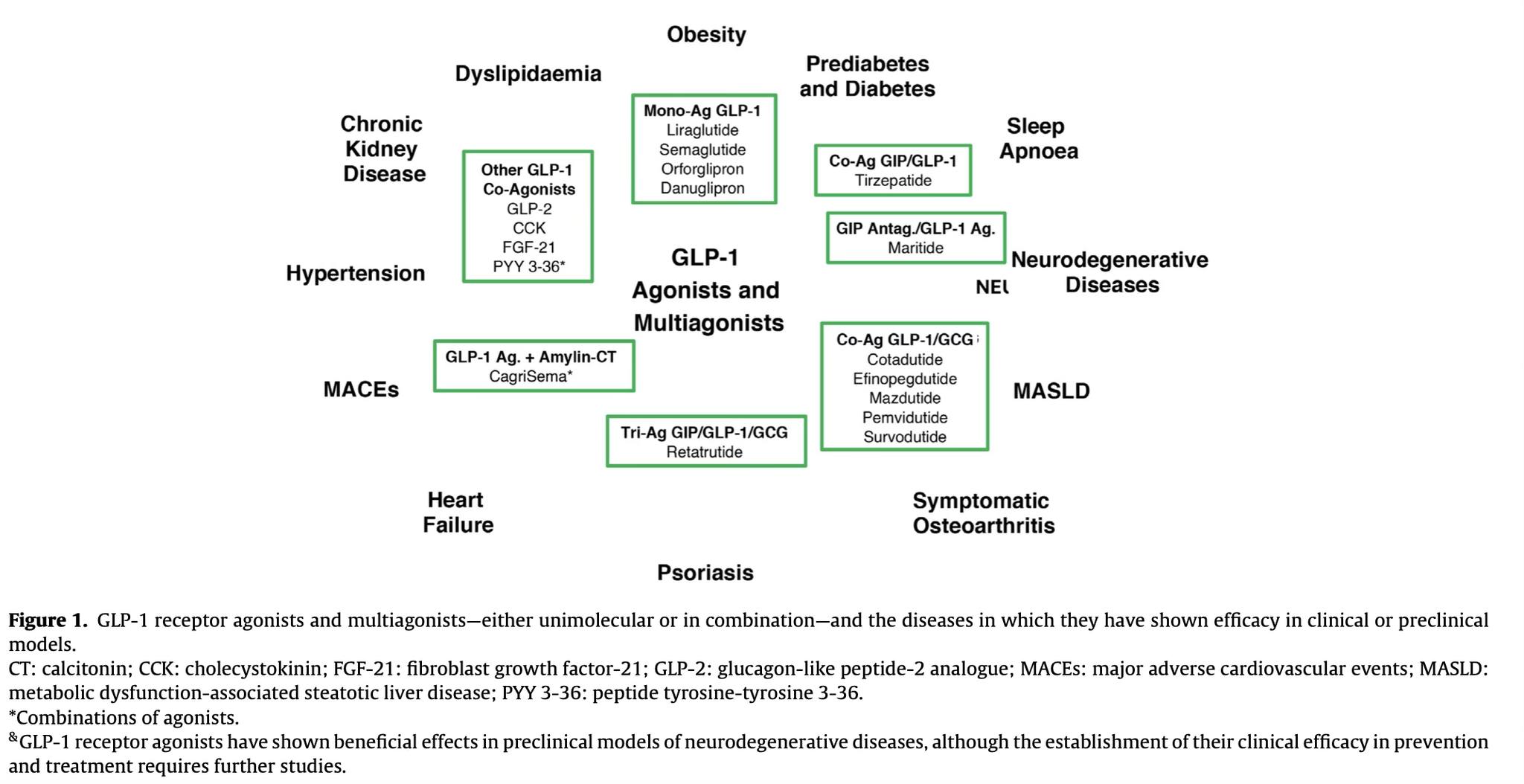 how glp-1 agonists work receptor for individualized treatment of type 2 diabetes mellitus GLP-1 receptor agonists are often