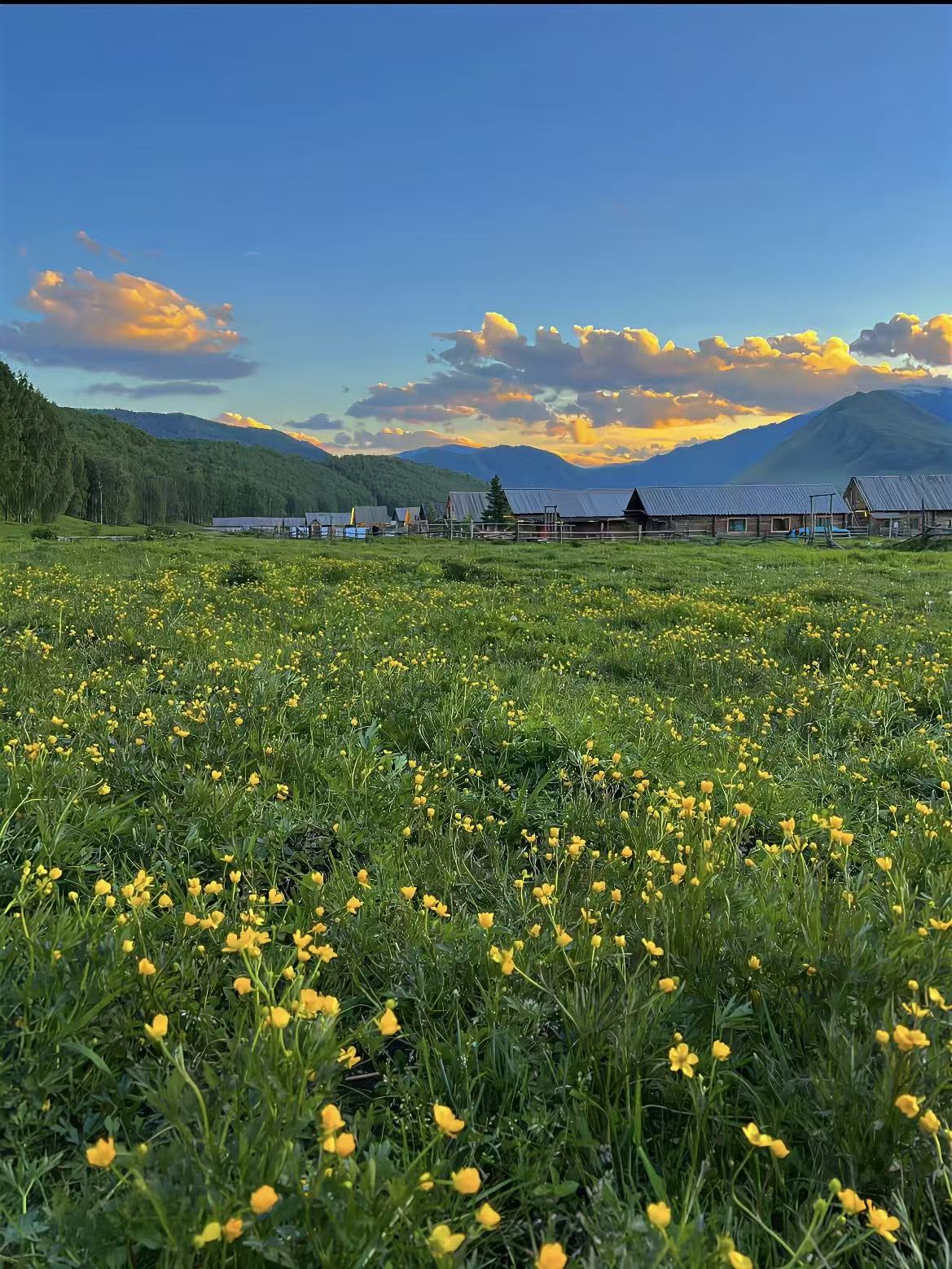 Kerry Mckenzie | Rock Springs WY