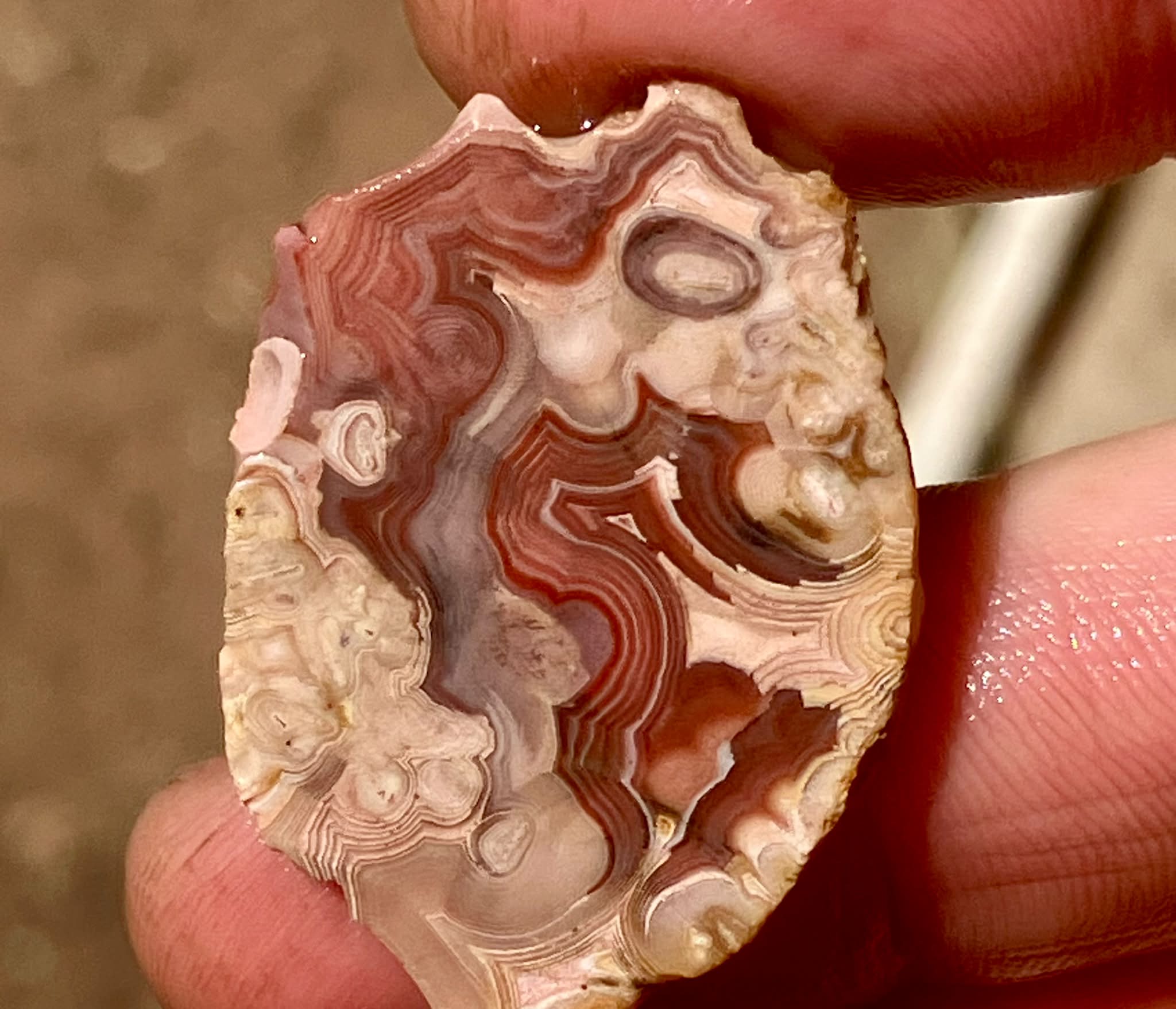 Australian Agate Collectors | Facebook