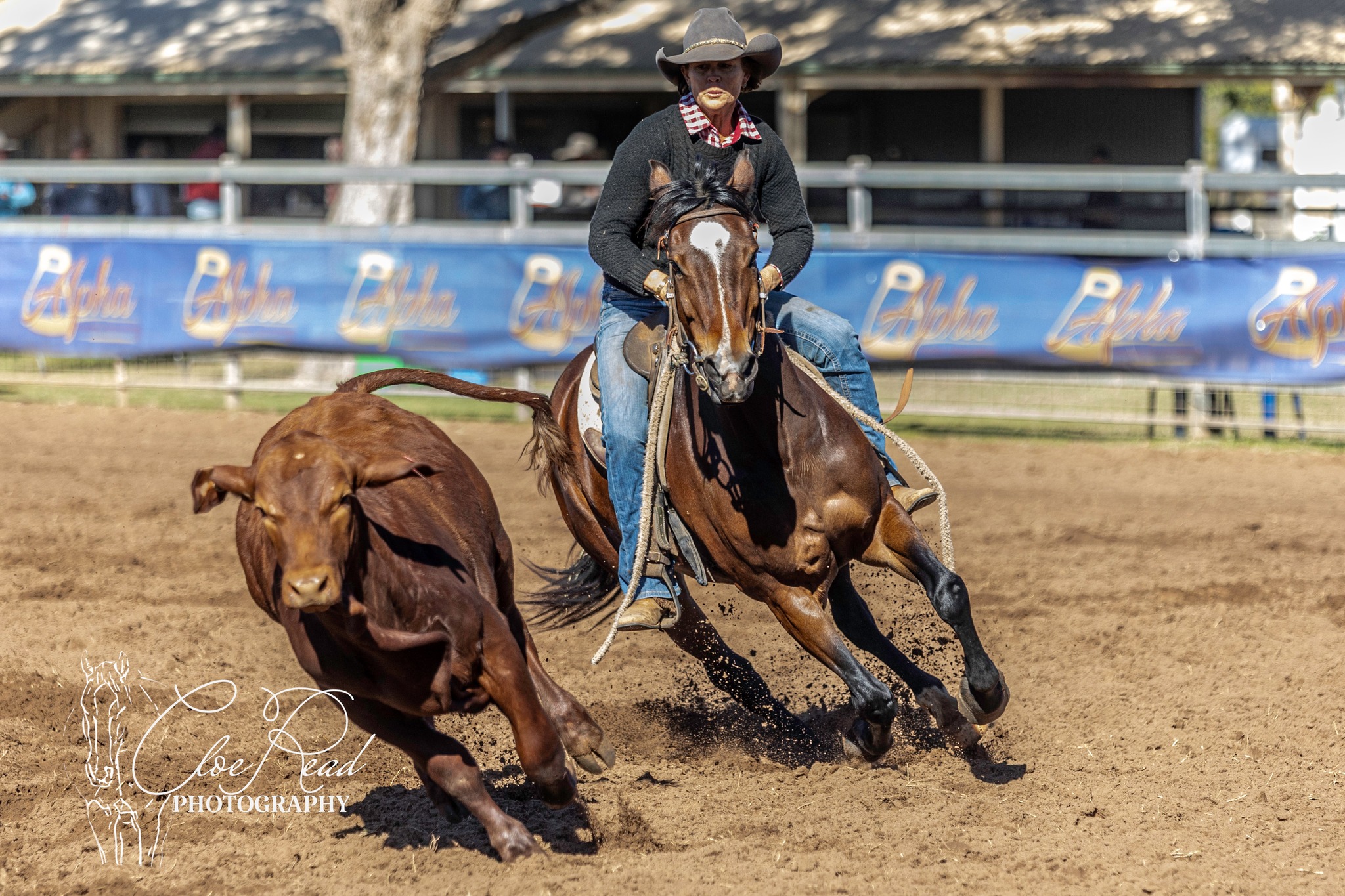 Kalbar Pastoral Co Billy & Beau... - Alpha Rodeo Association | Facebook