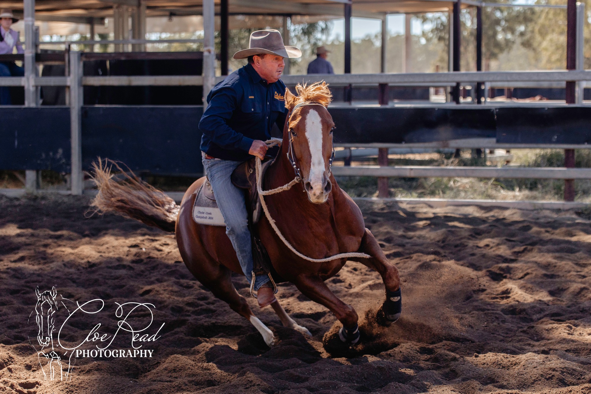 Kalbar Pastoral Co Billy & Beau... - Alpha Rodeo Association | Facebook