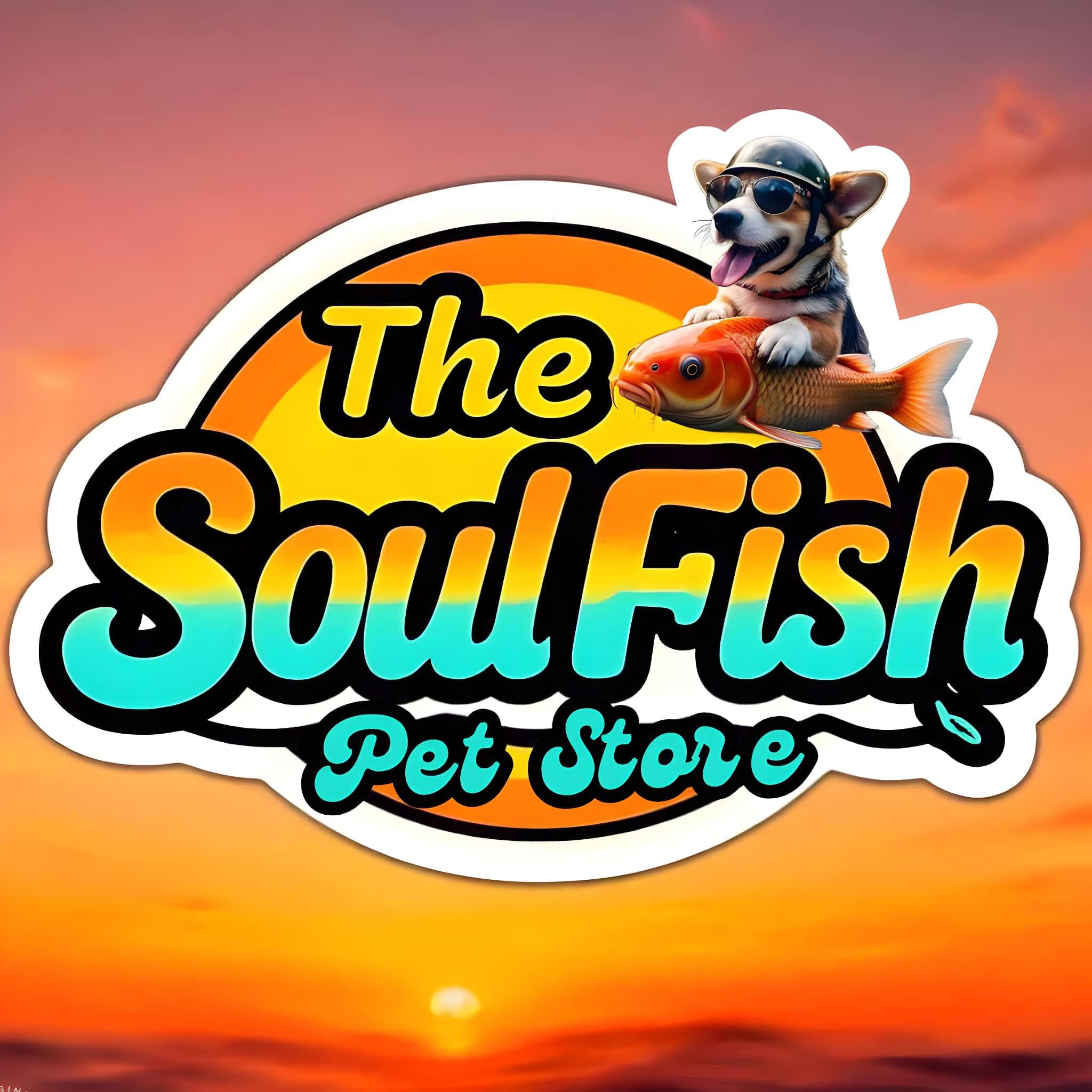 The Soul Fish