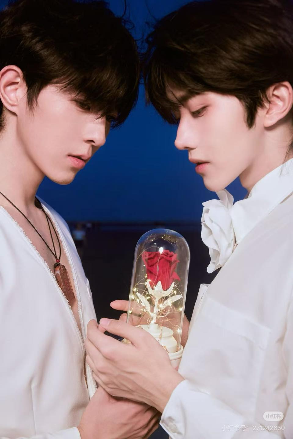 Golden Hour 🦋🌹✨ #HuangXing #QiuDingjie #黄星#邱鼎杰#EliotHuang