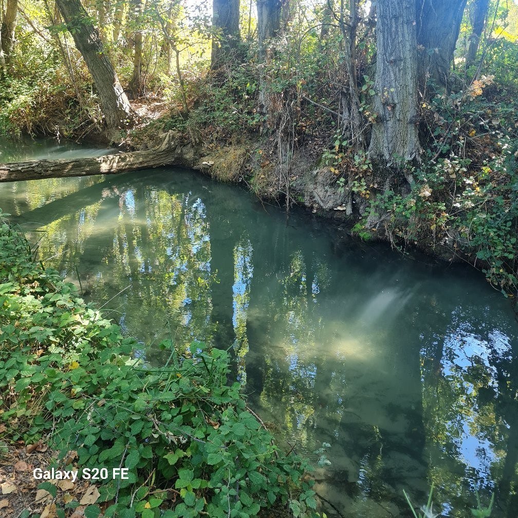 El caudal actual del rio Tajo es tan grande, y su aportación al embalse ...