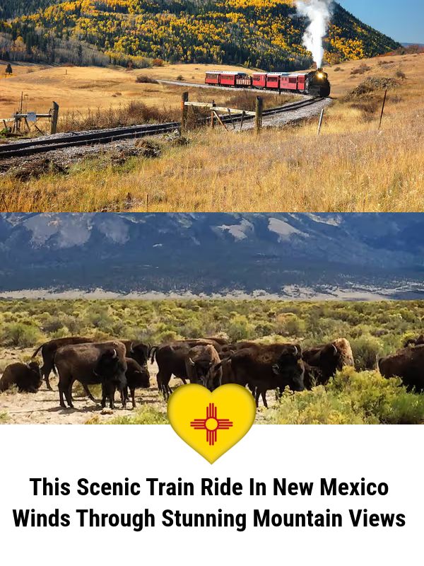 I Love - This Scenic Train Ride In New Mexico Winds Through Stunning ...