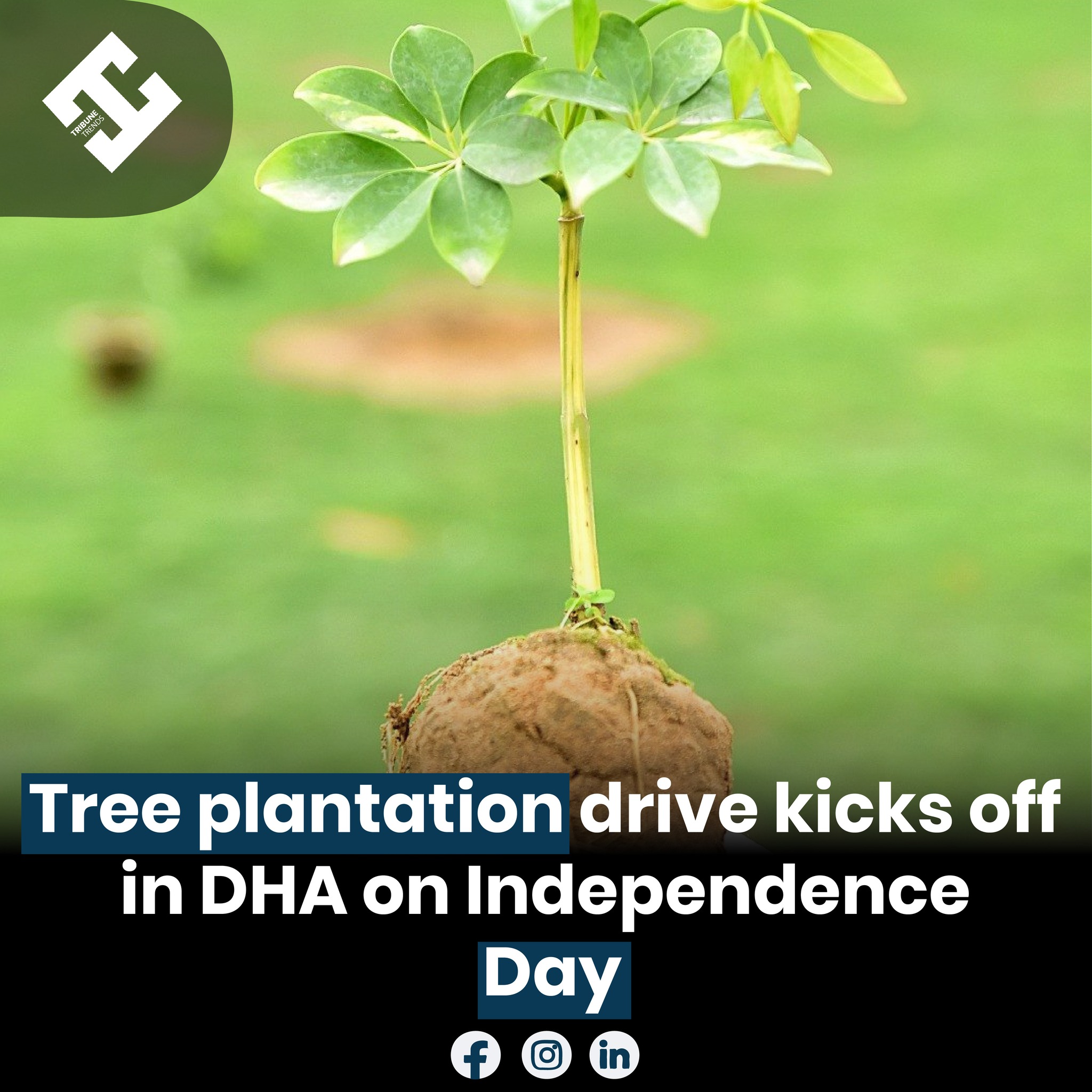 Tribune - A tree plantation drive was launched in DHA (Defence Housing ...