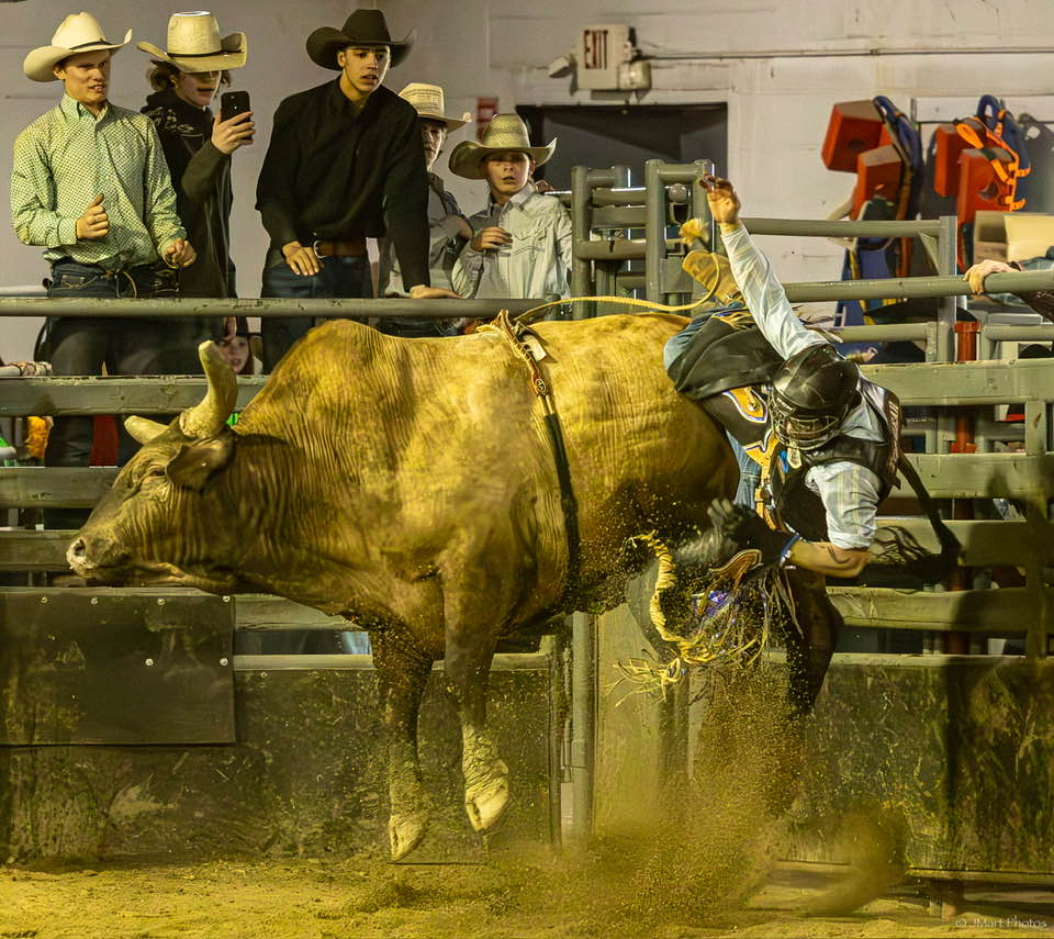 Grand Lake Photographers | #throwdownthursday at the VW Rodeo | Facebook